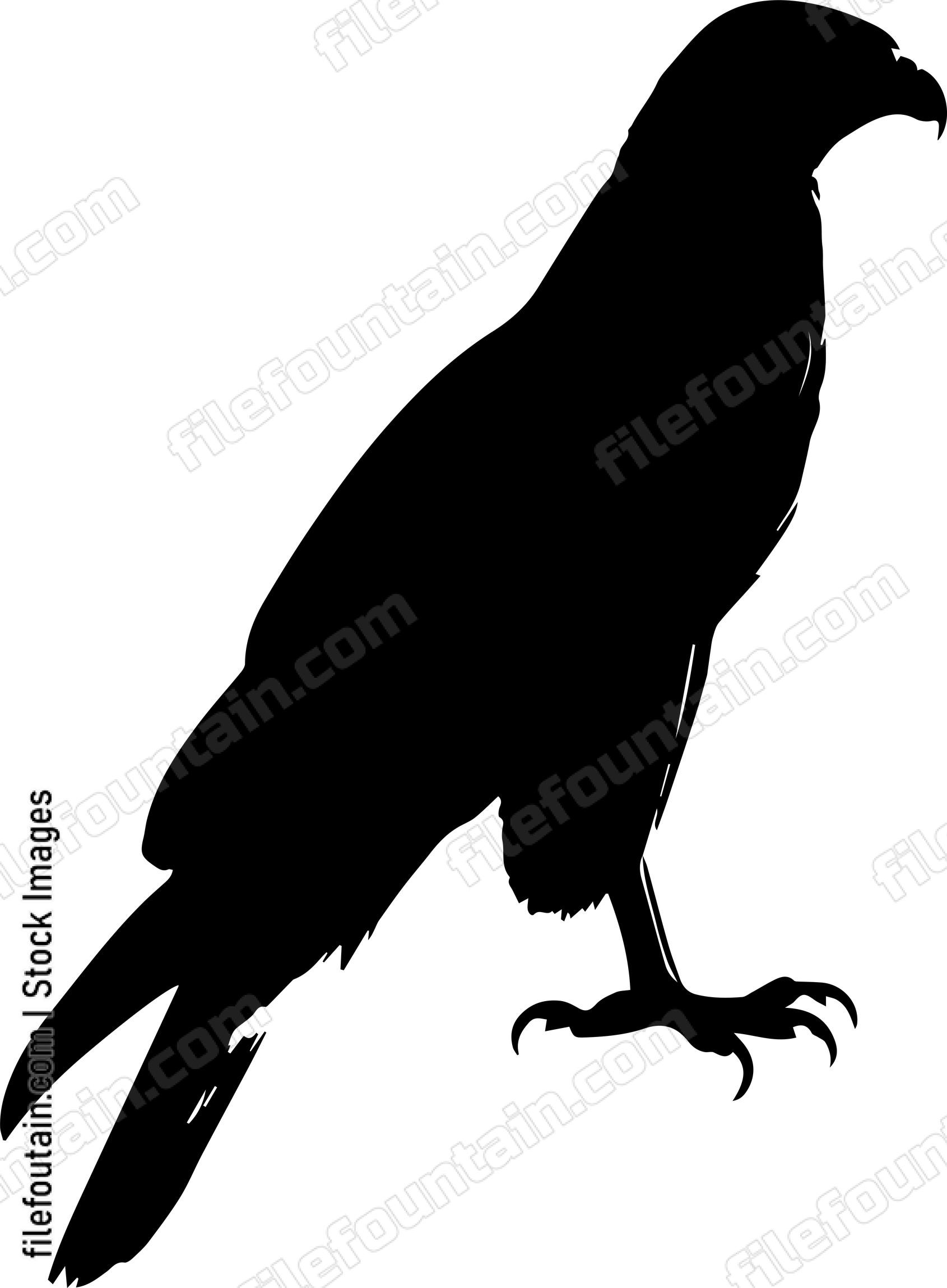 Hawk