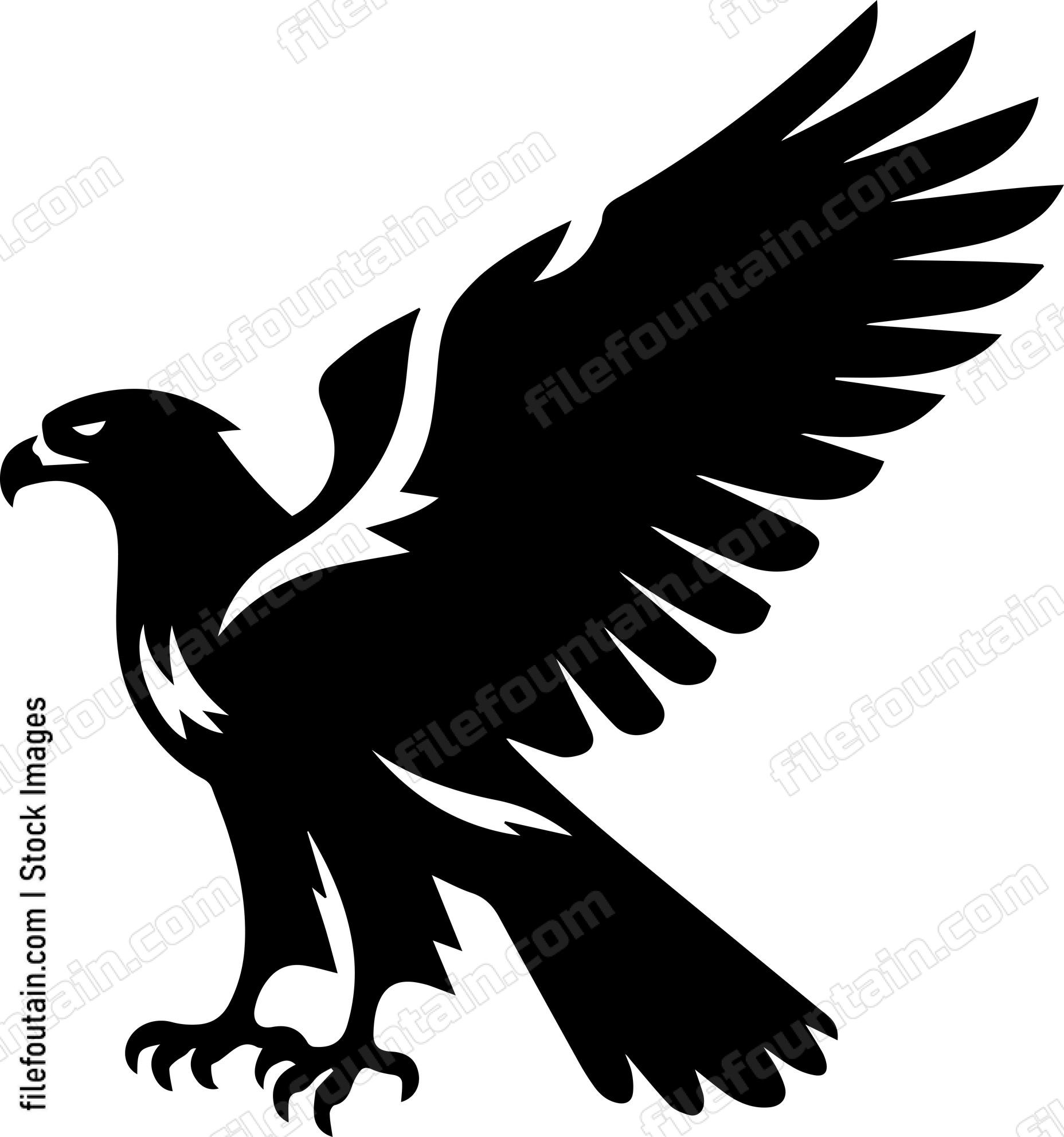 Hawk