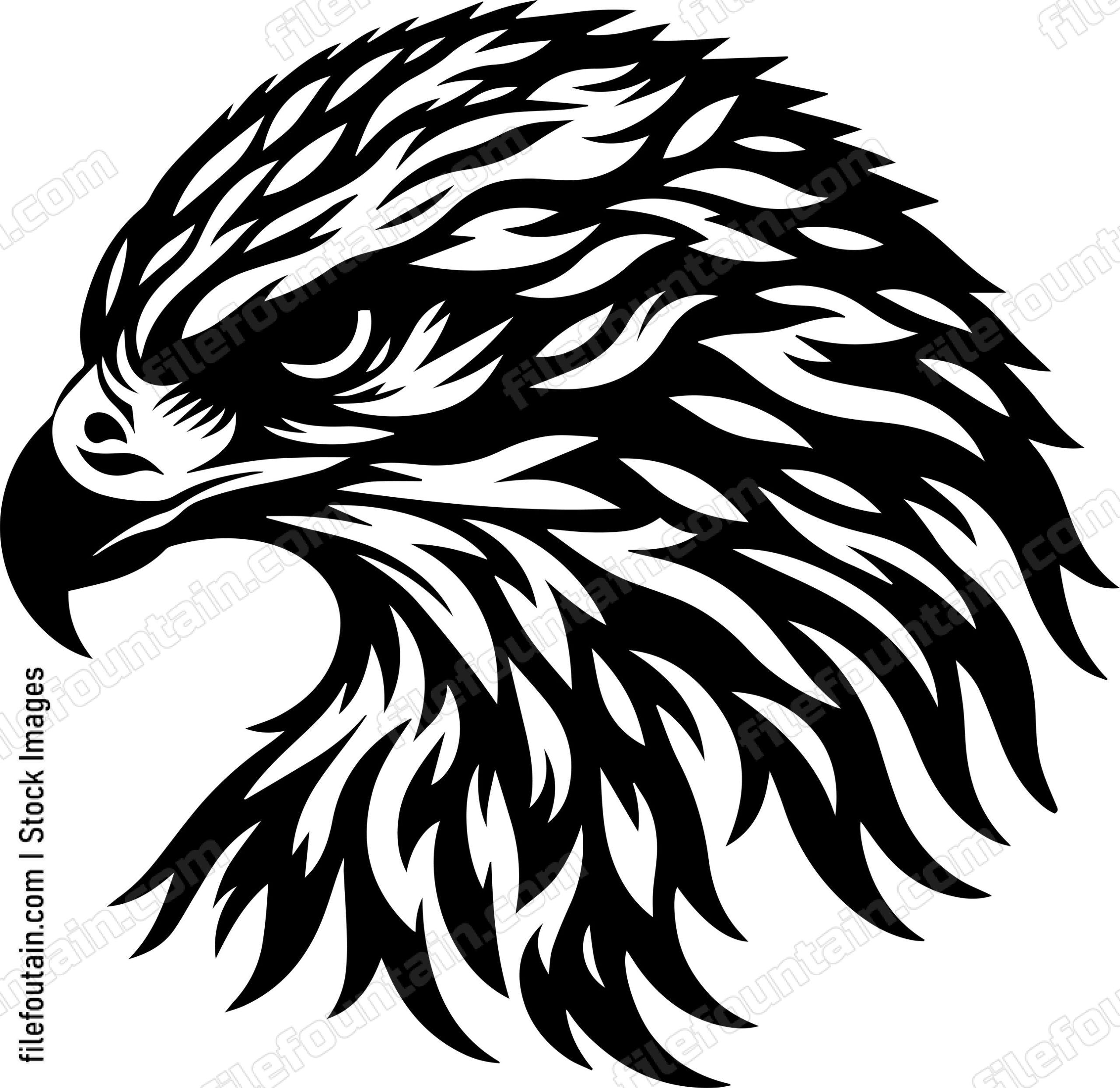 Hawk