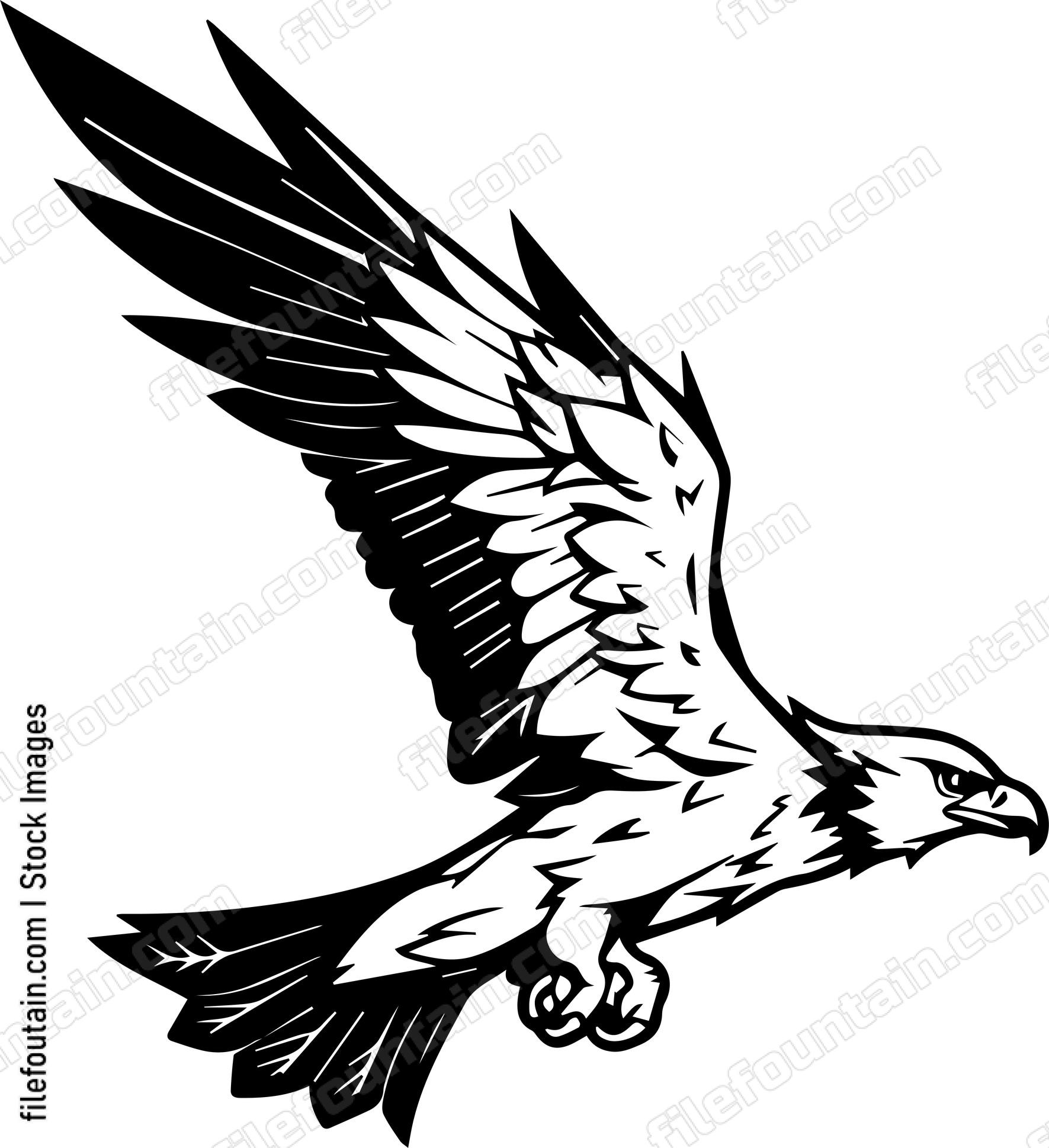 Hawk Flying