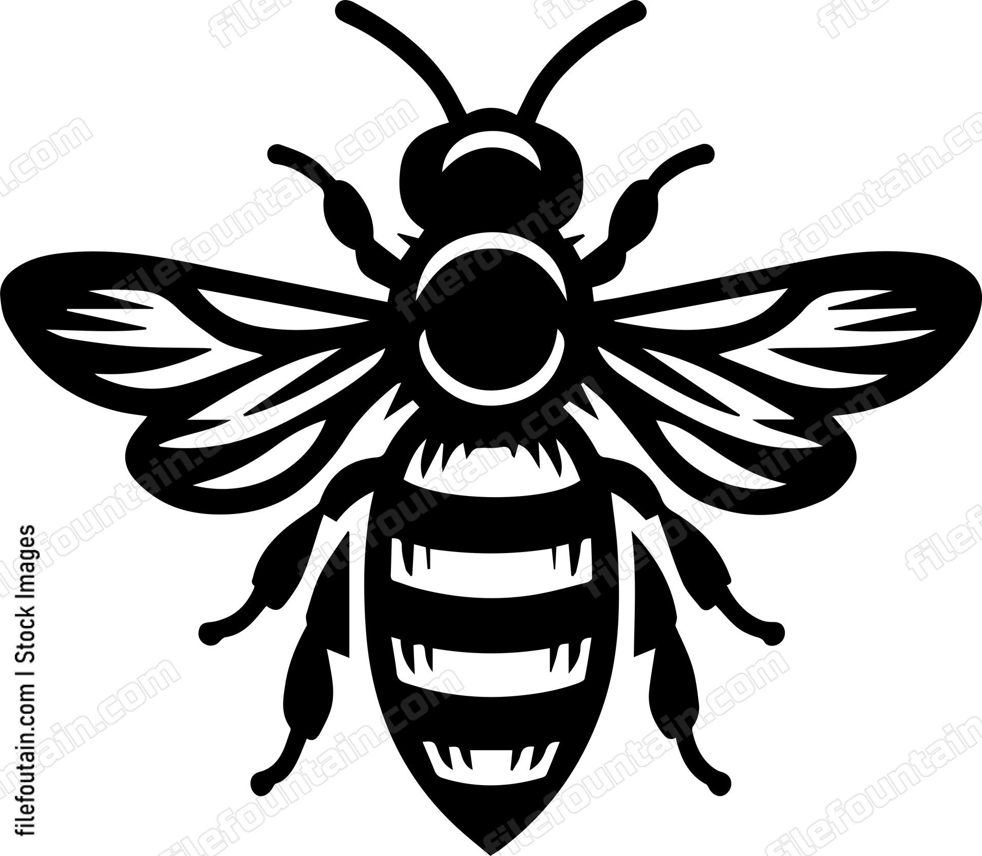 Honey Bee