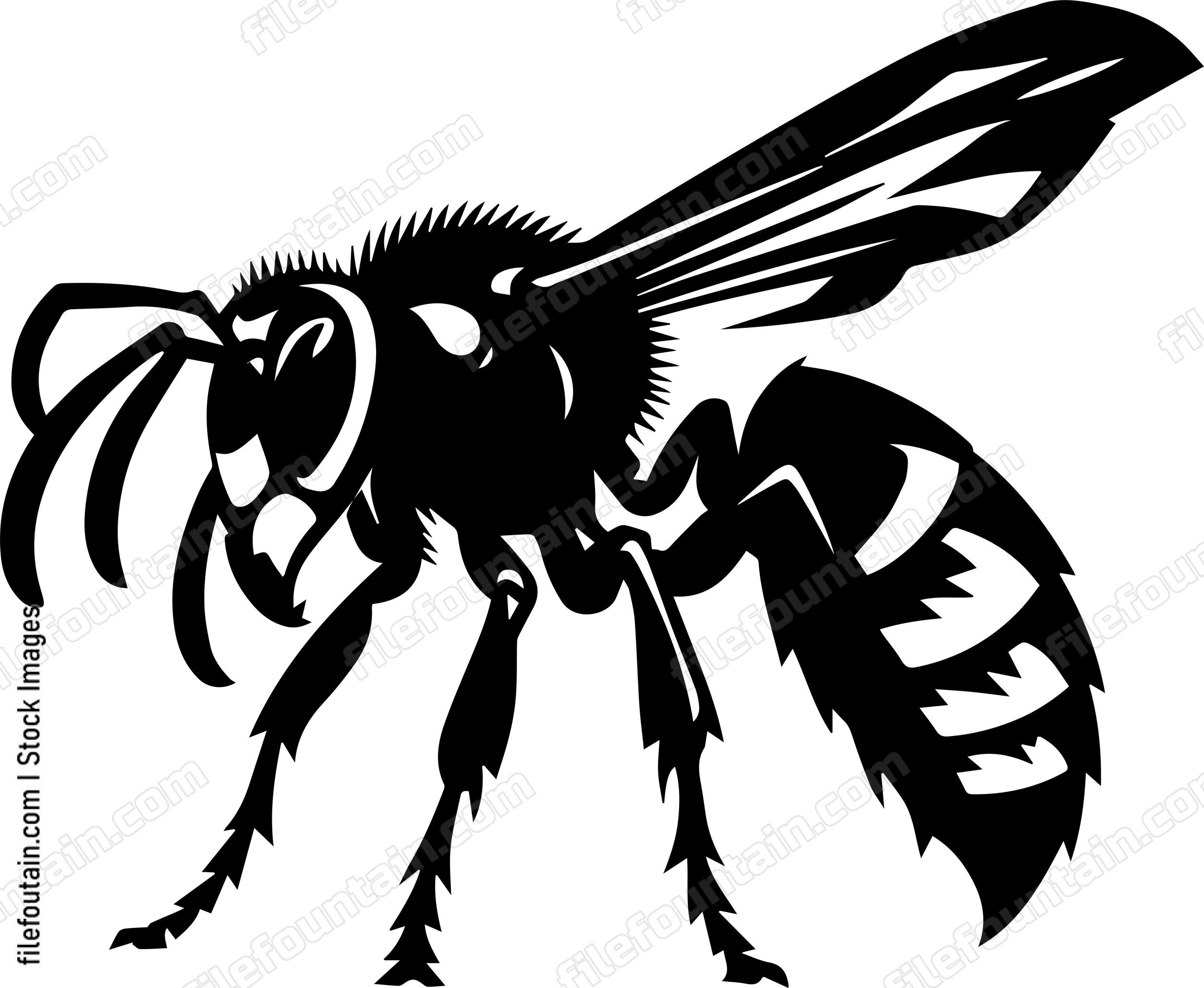 Hornet