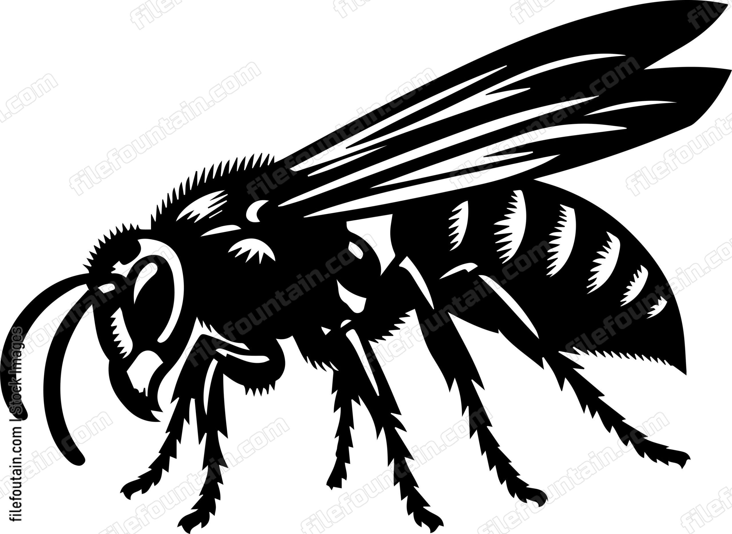 Hornet