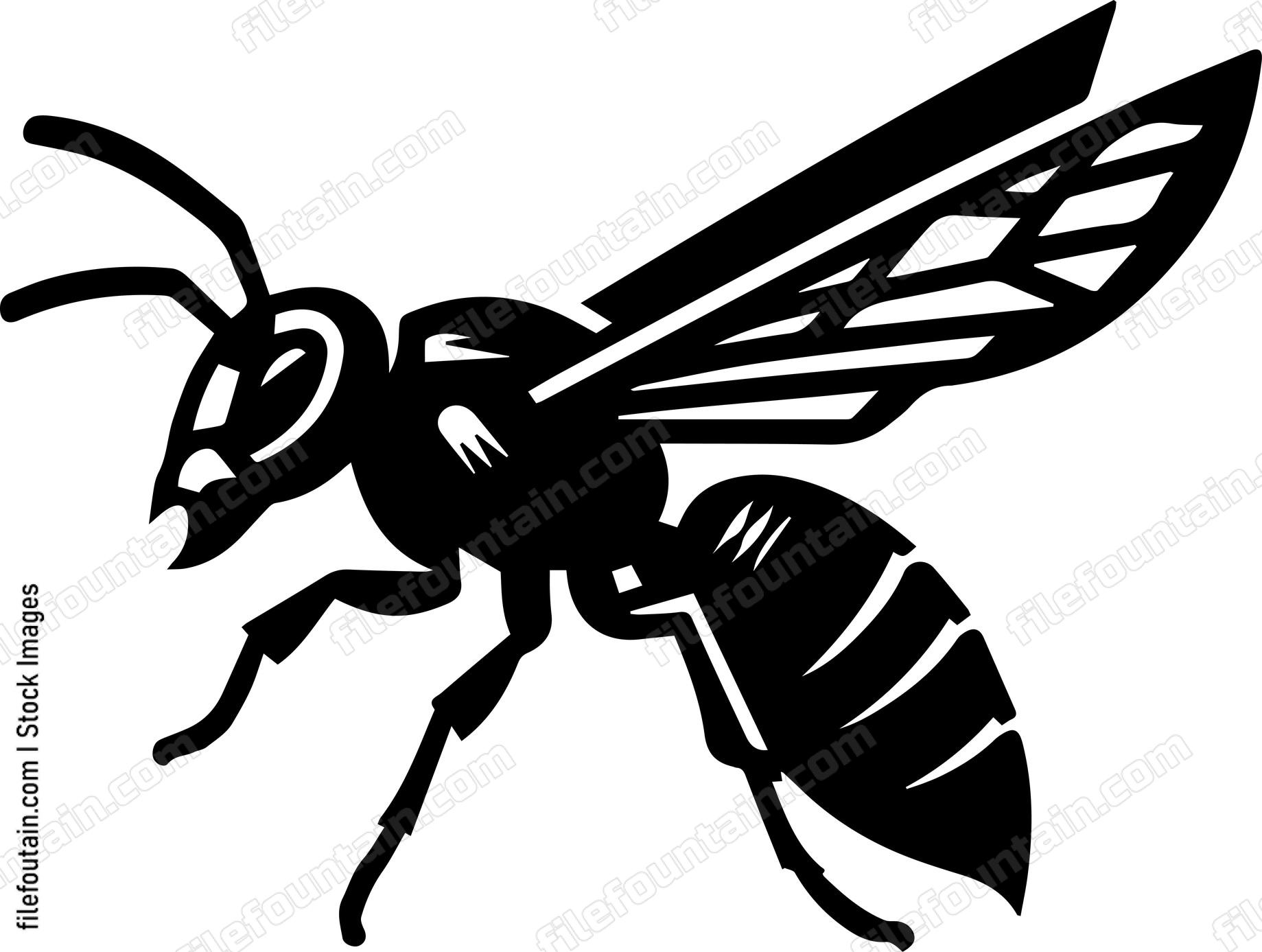 Hornet