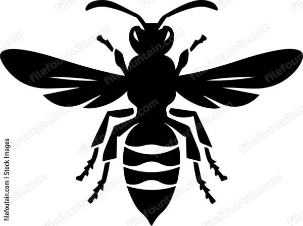 Hornet