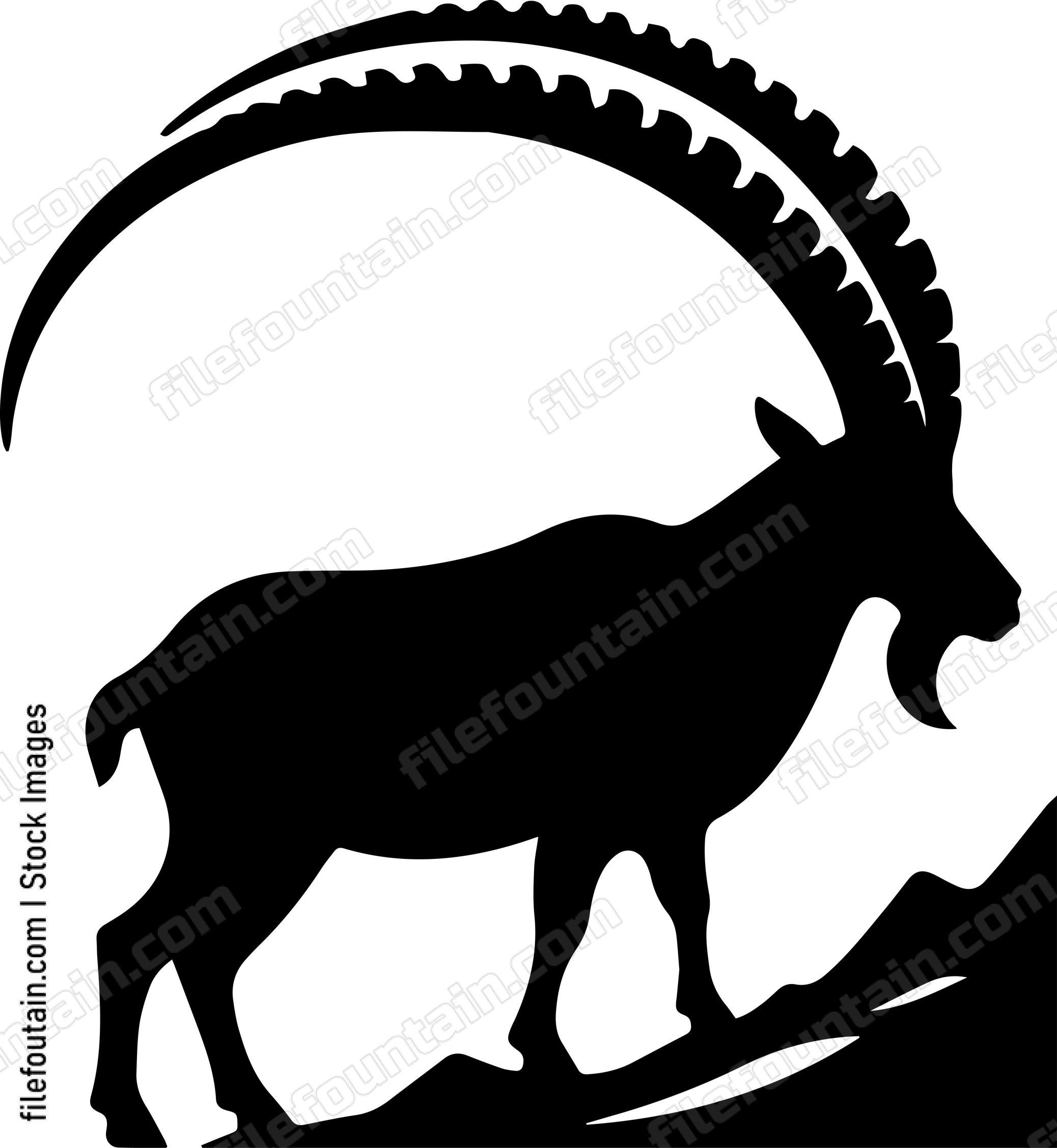 Ibex