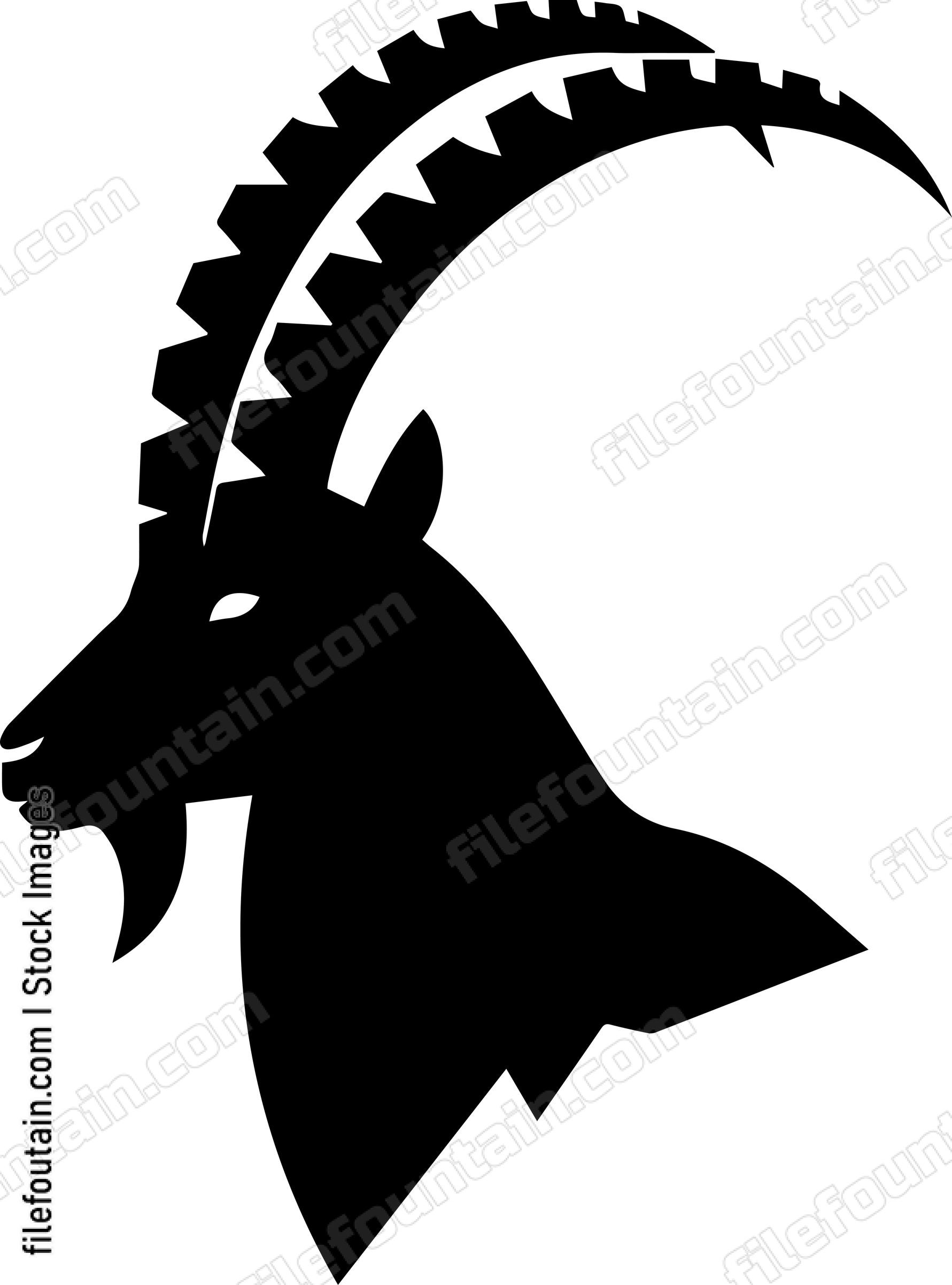 Ibex