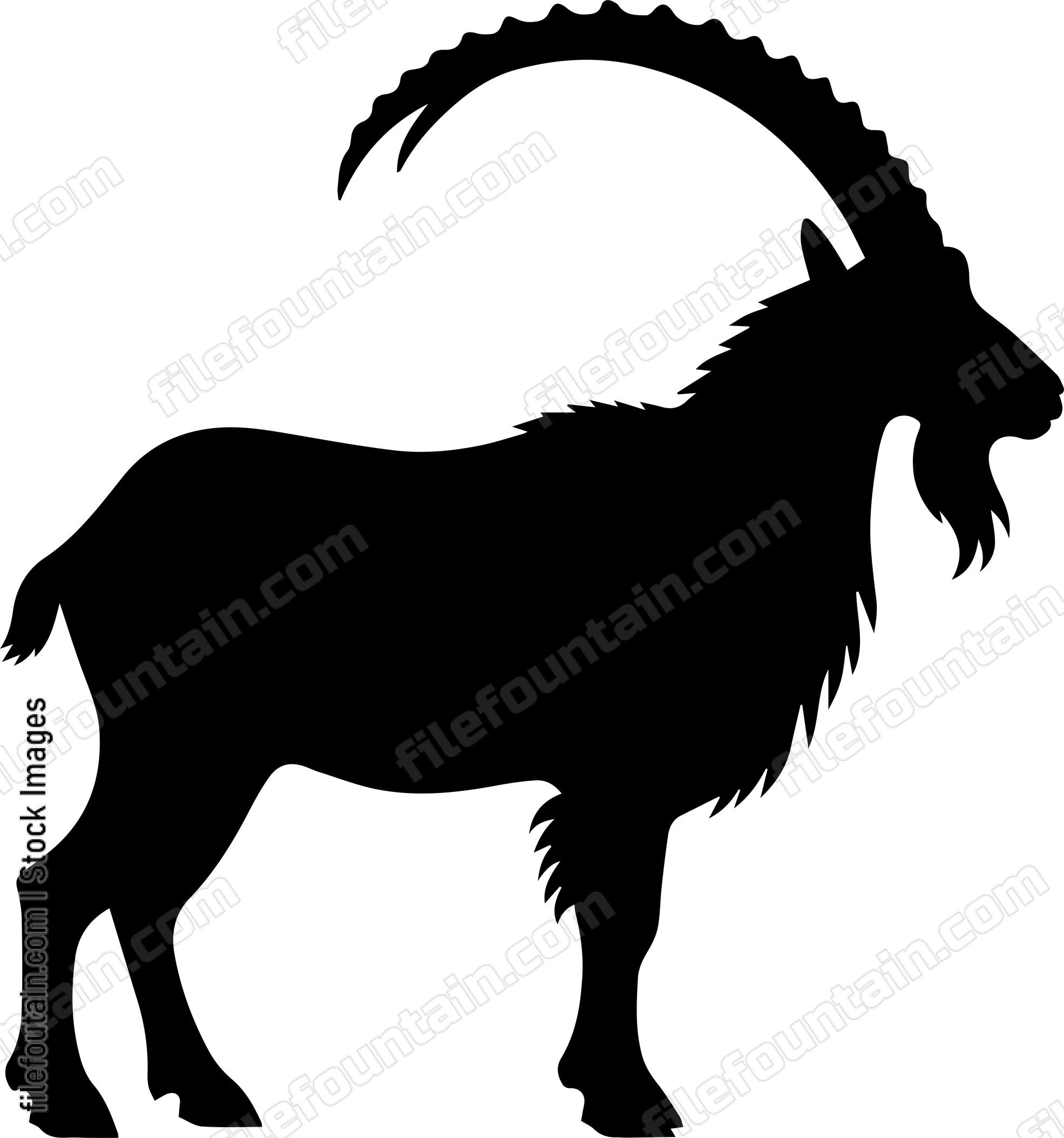 Ibex