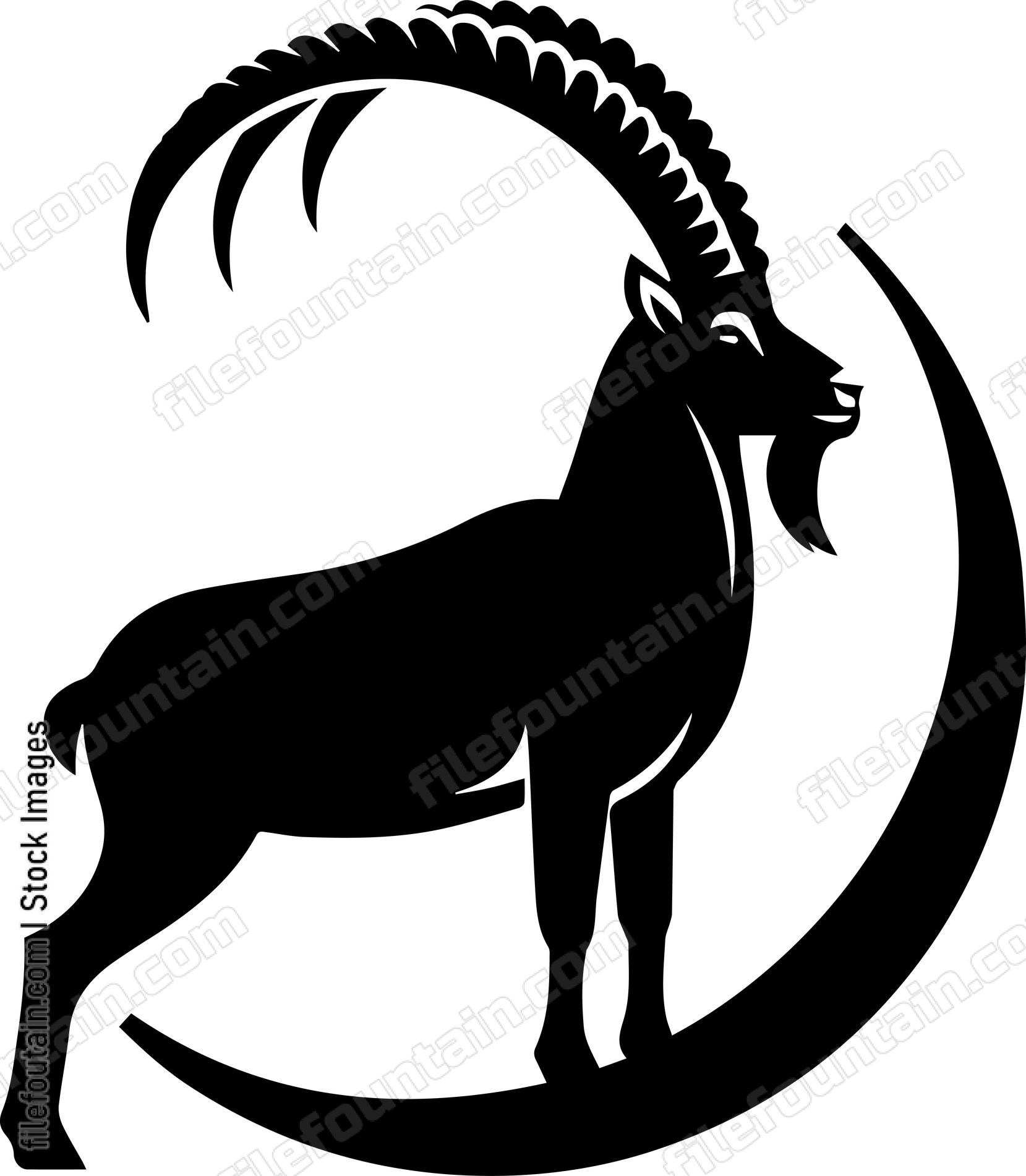 Ibex