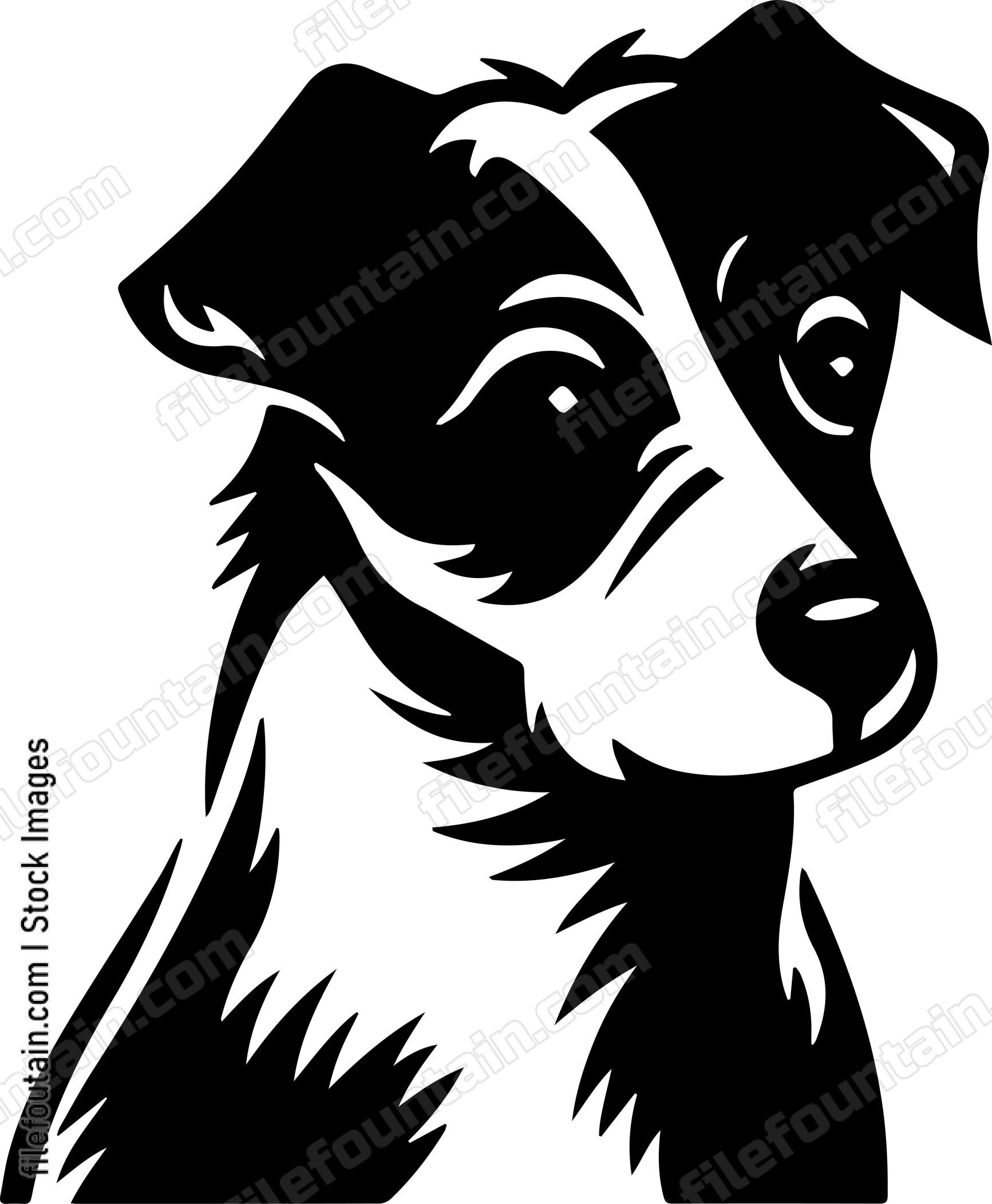 Jack Russell Terrier