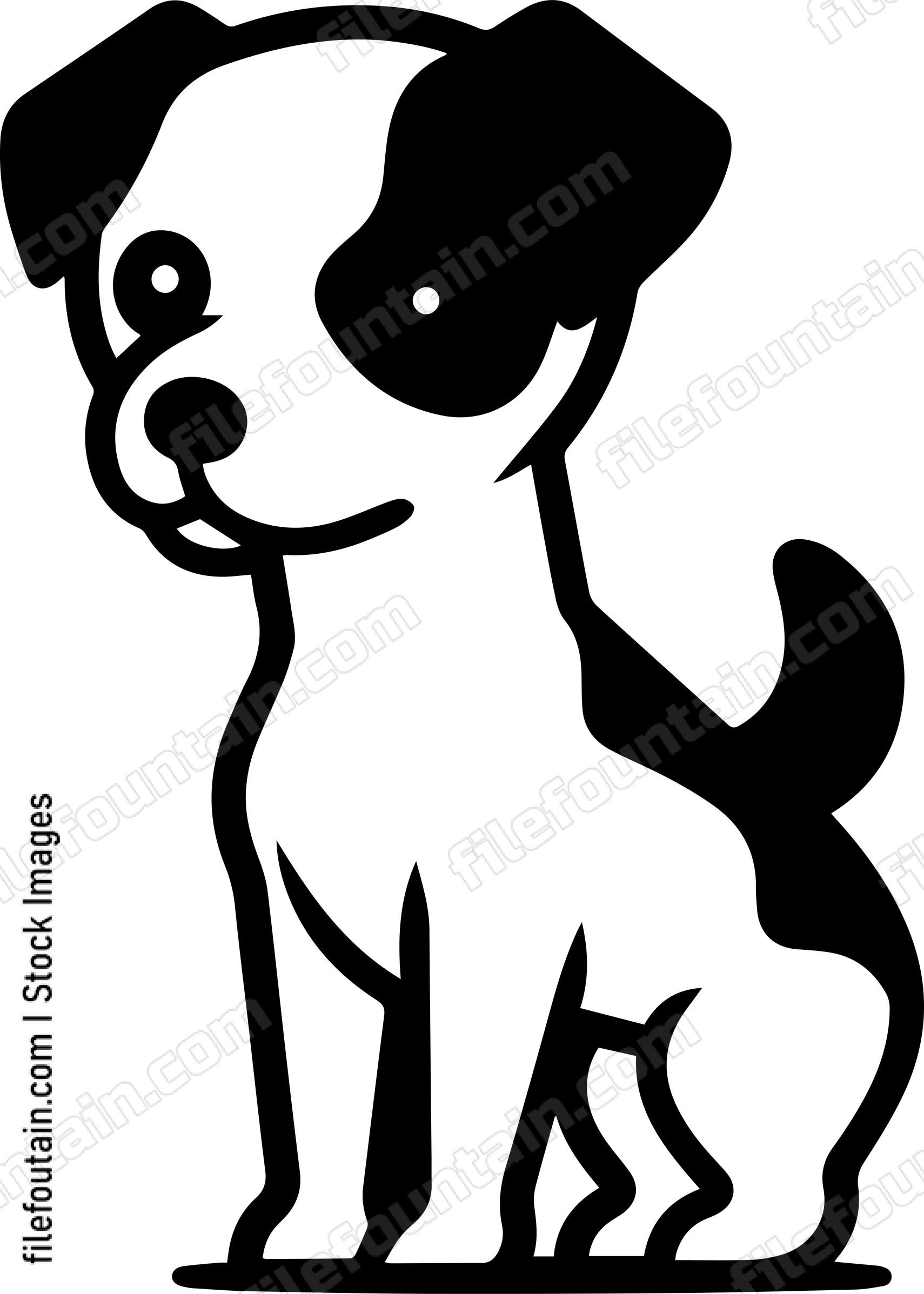 Jack Russell Terrier