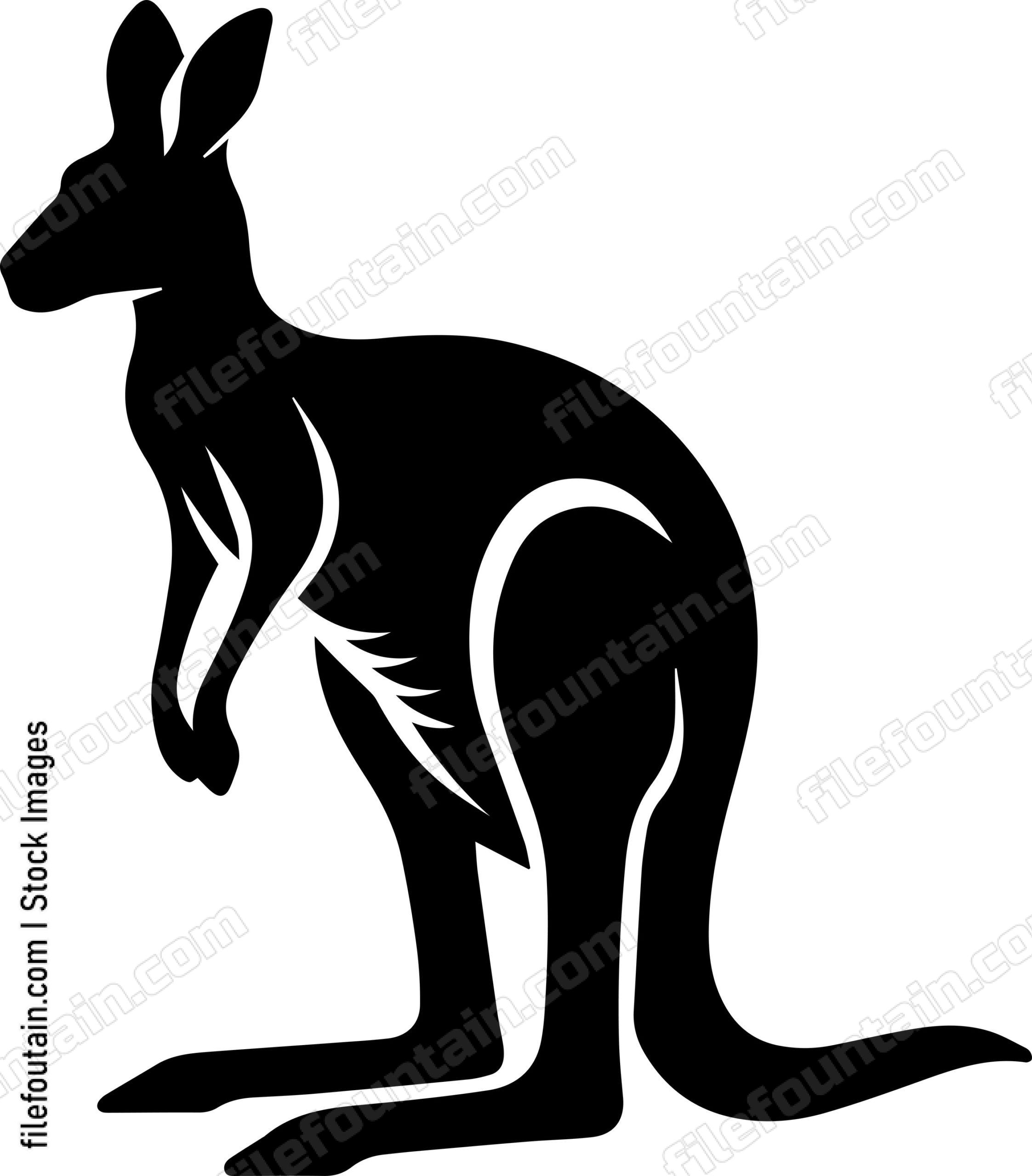 Kangaroo