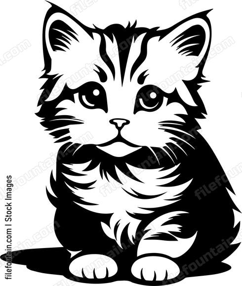 Kitten