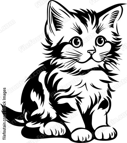 Kitten