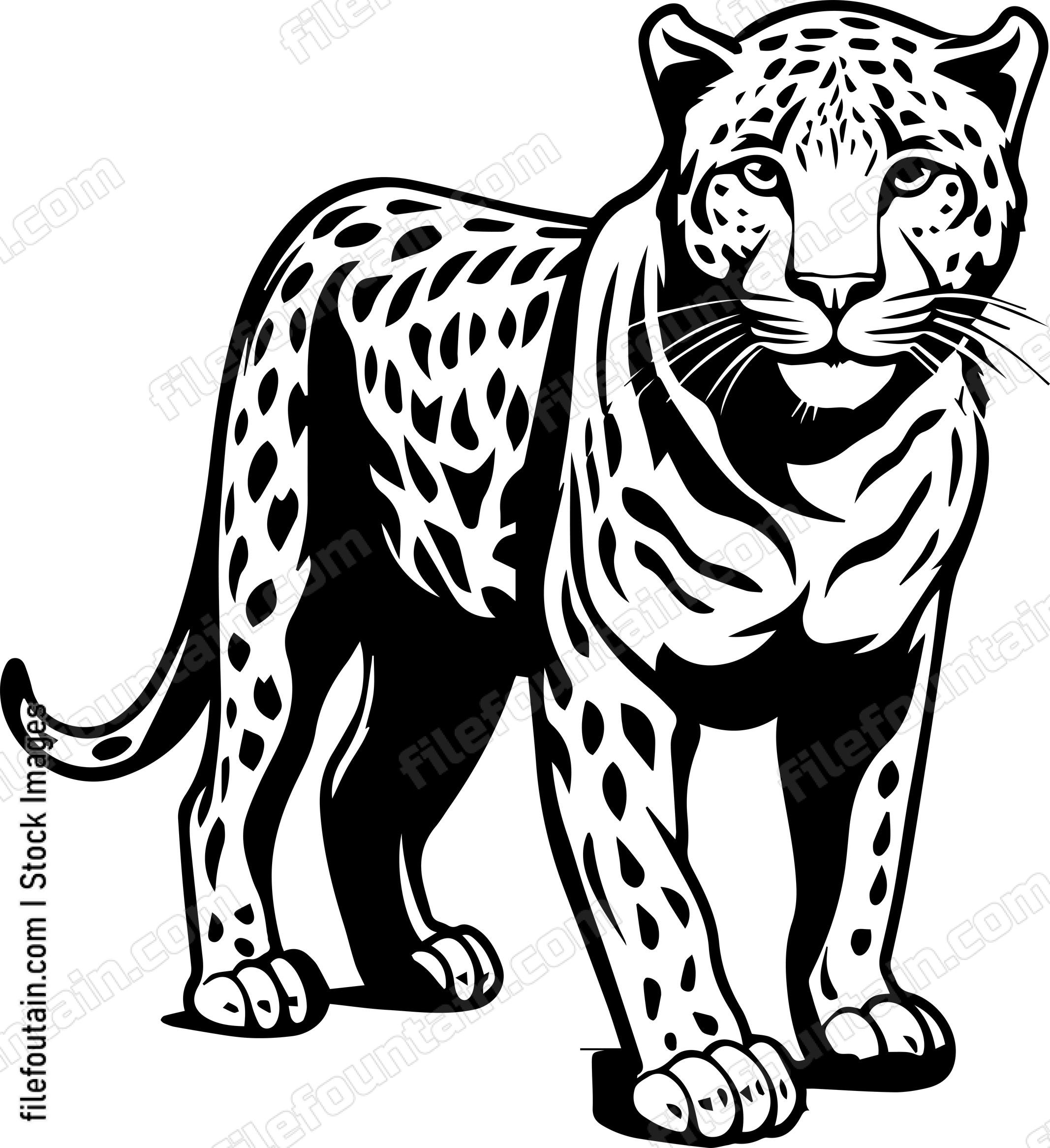 Leopard