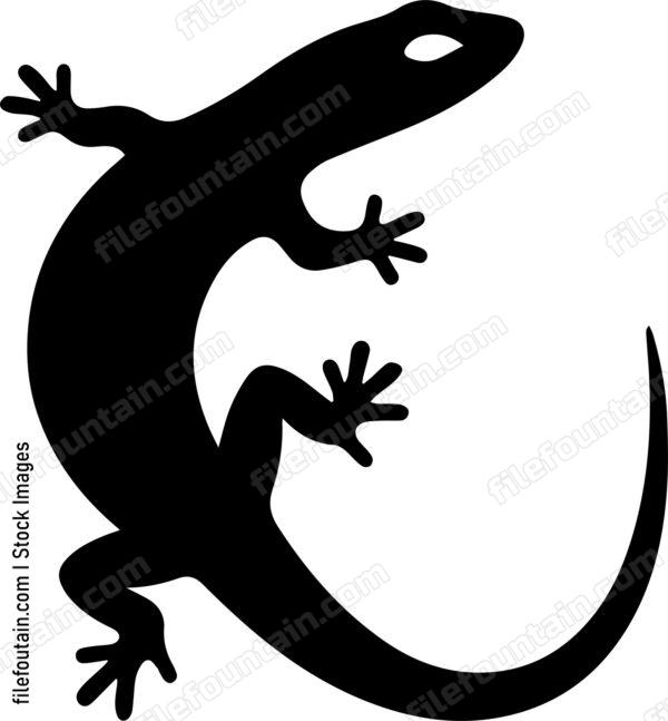 Lizard