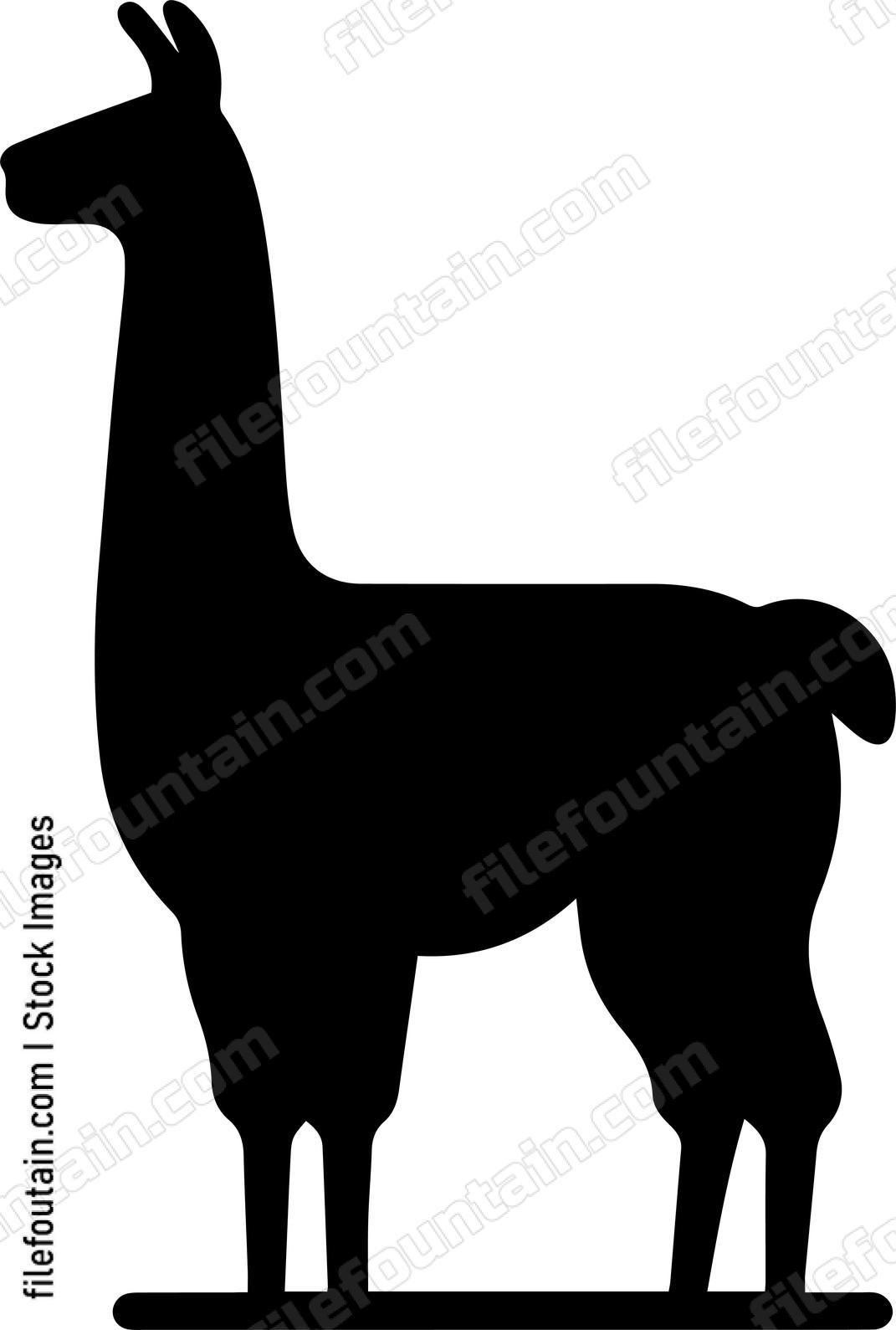 llama