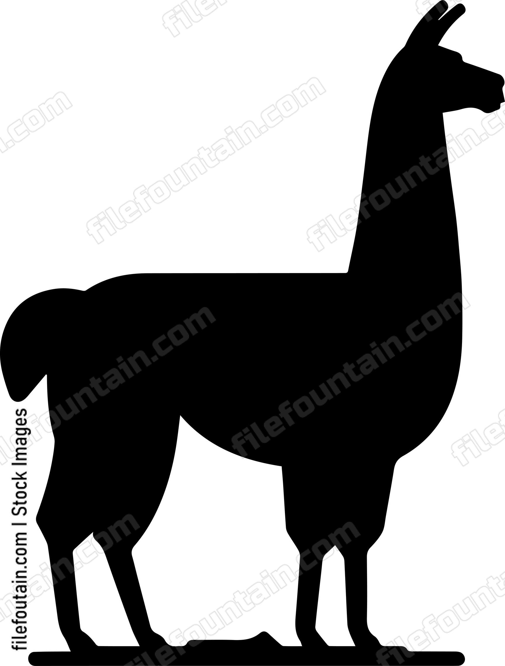 llama