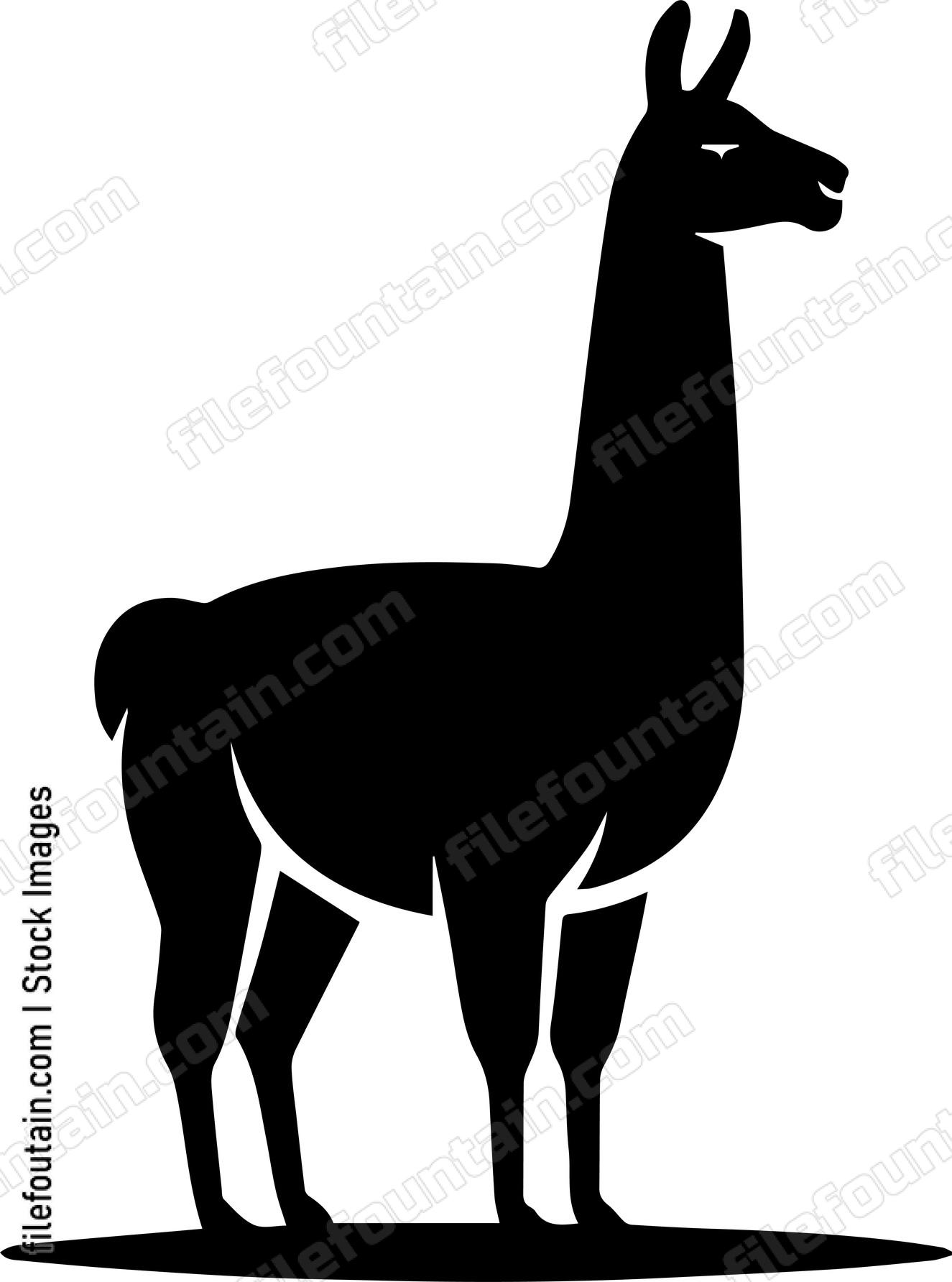 llama