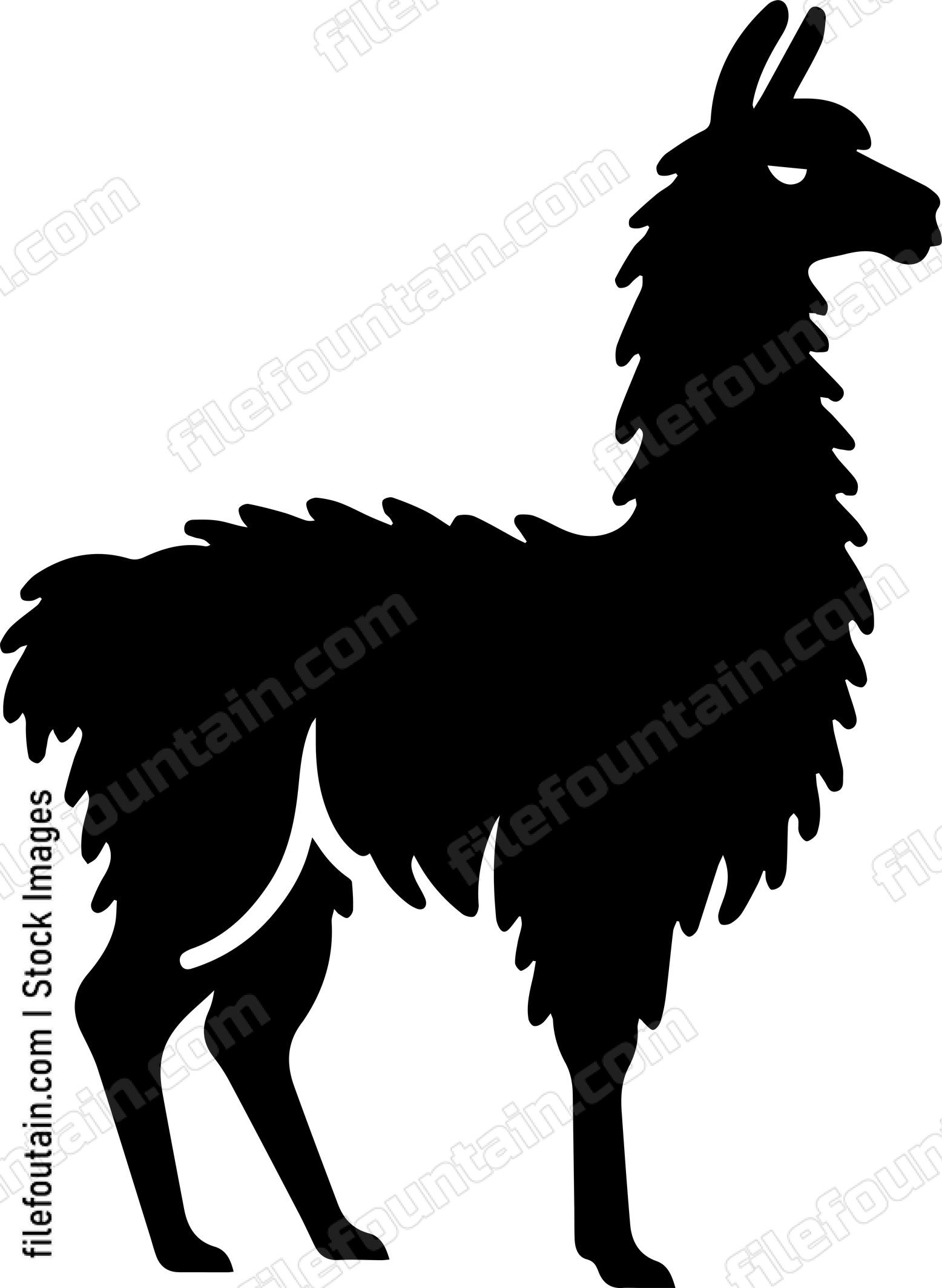 llama