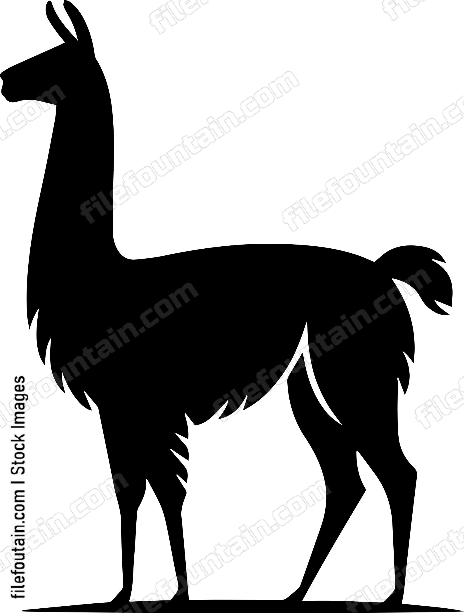 llama