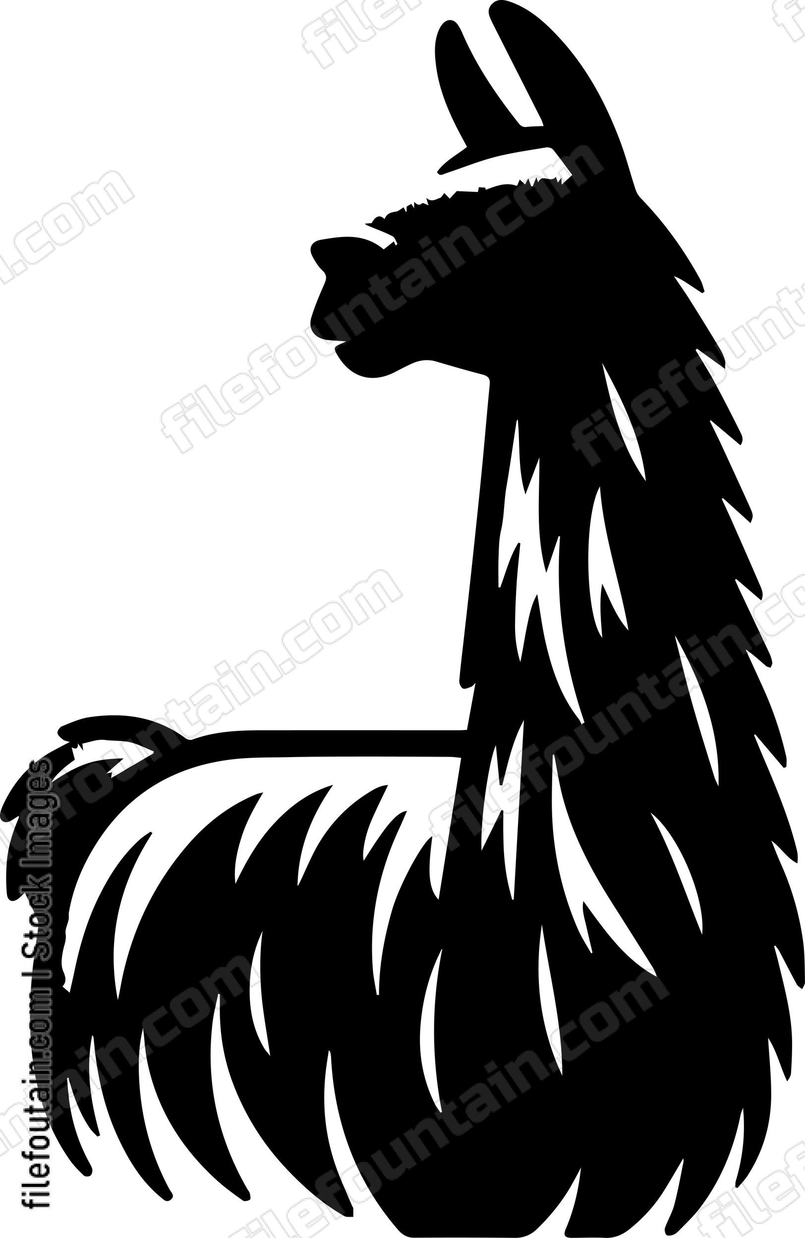 llama