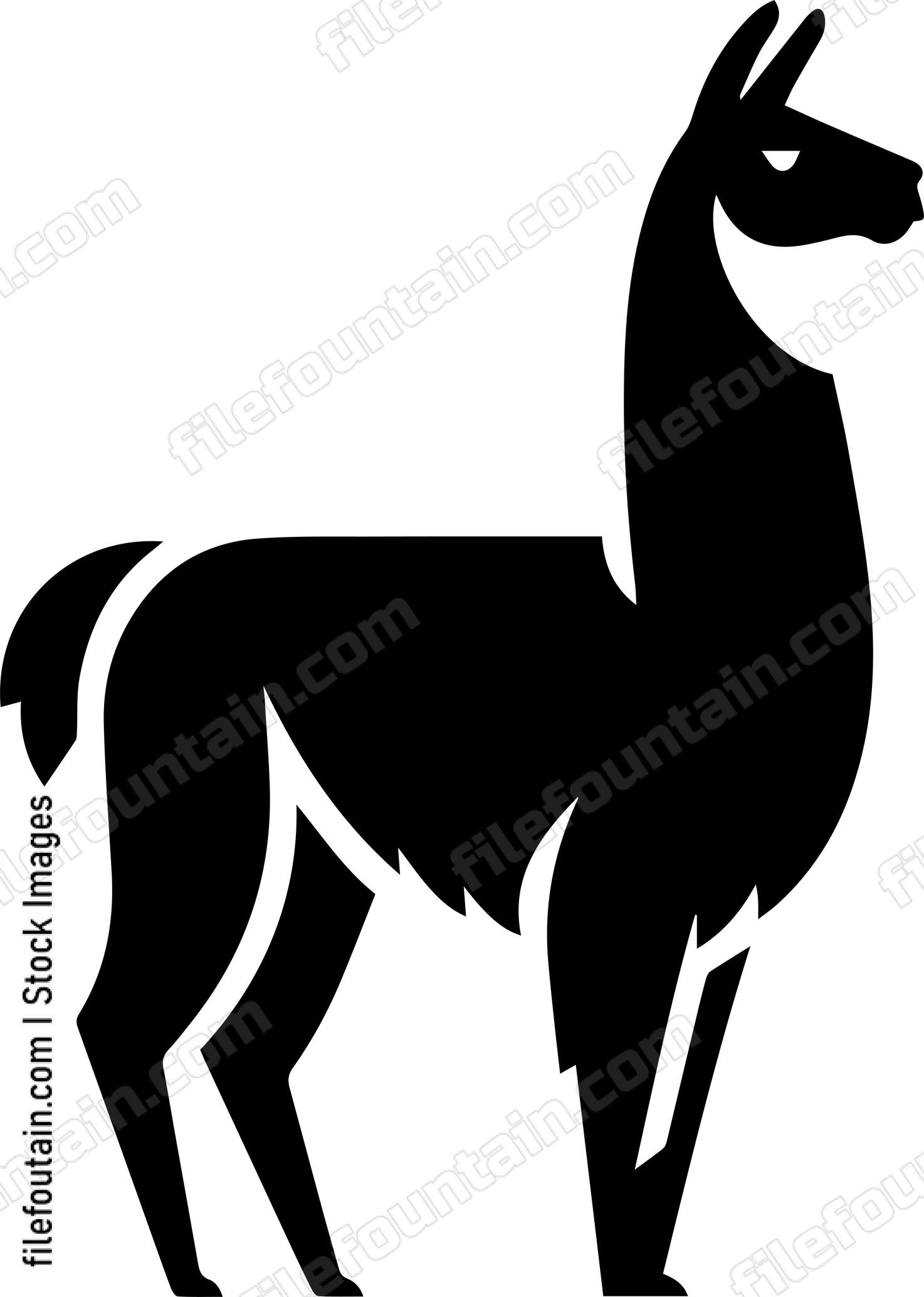 llama