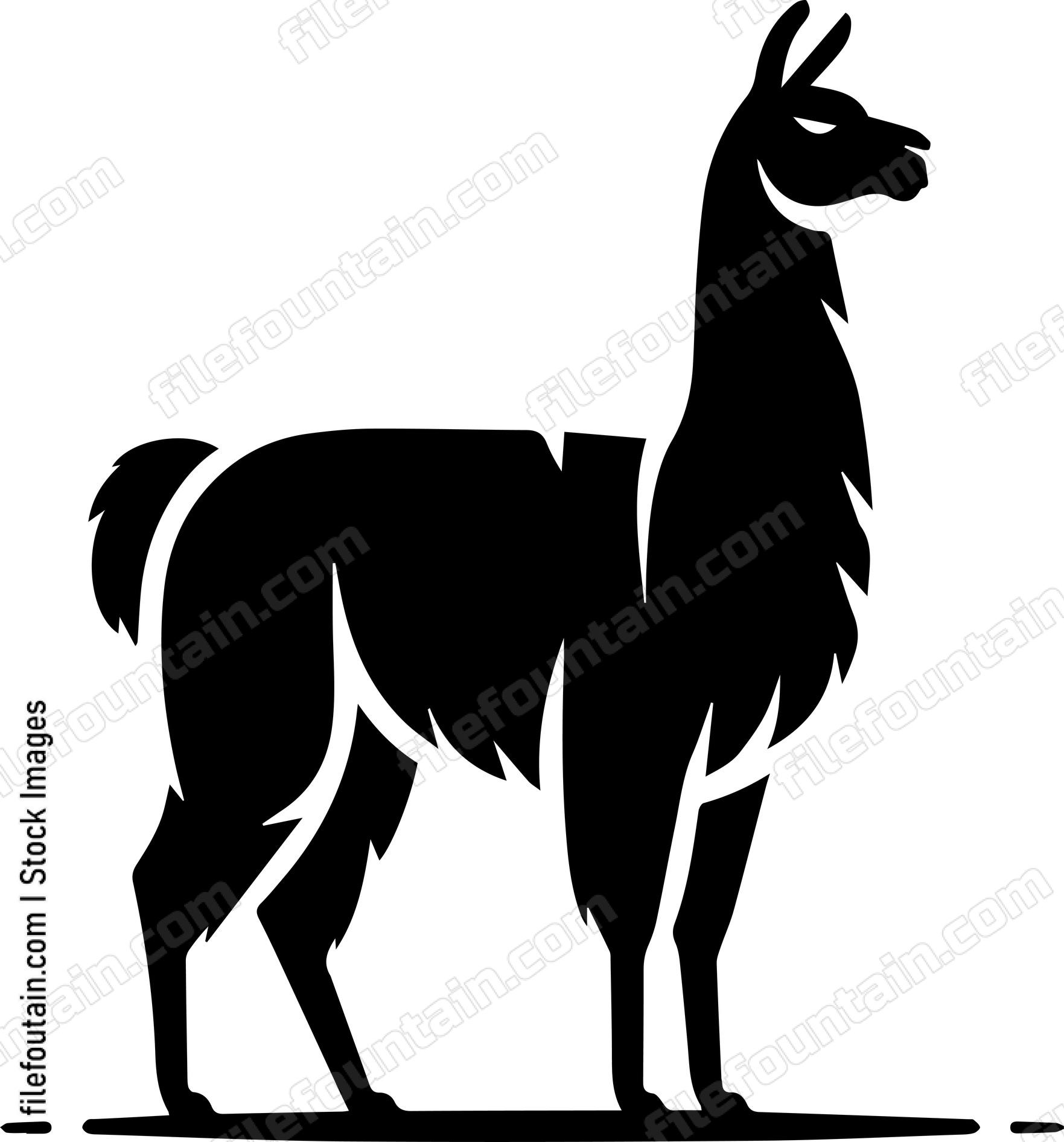 llama