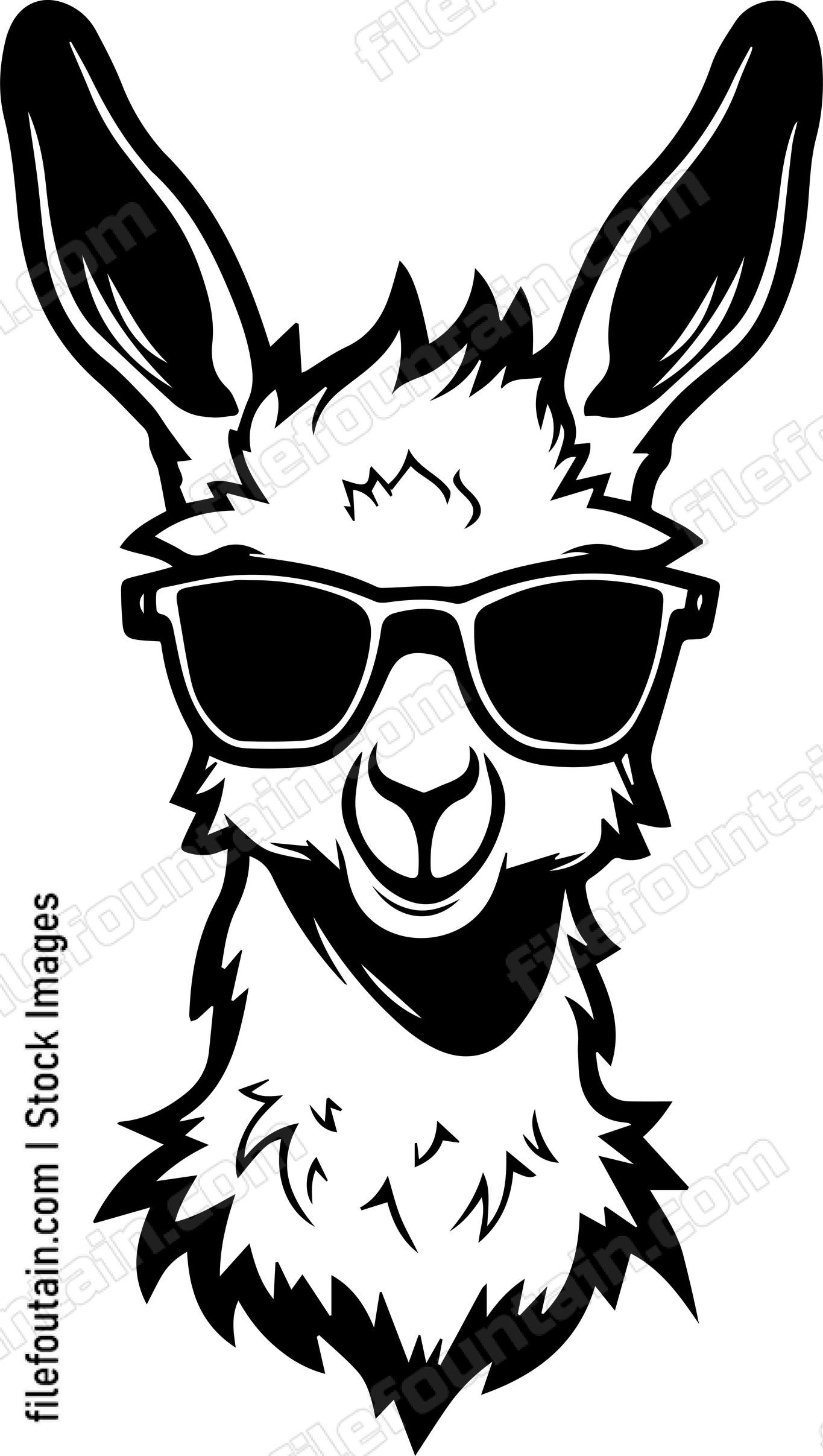Llama In Sunglasses