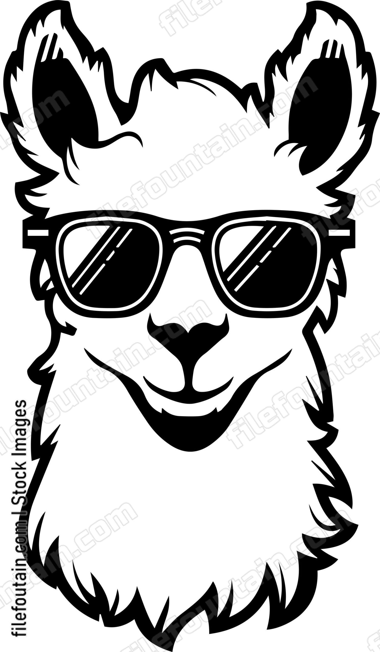 Llama In Sunglasses