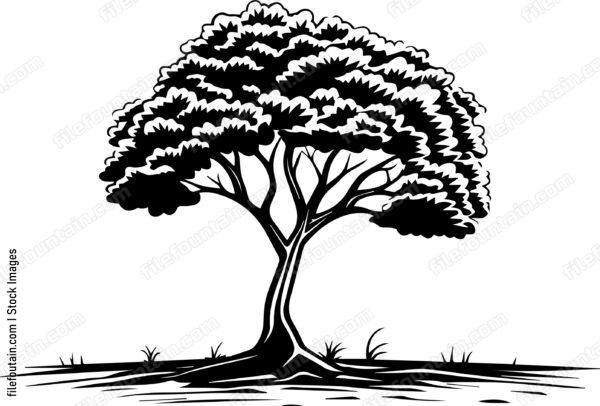 Lone Tree In A Field
