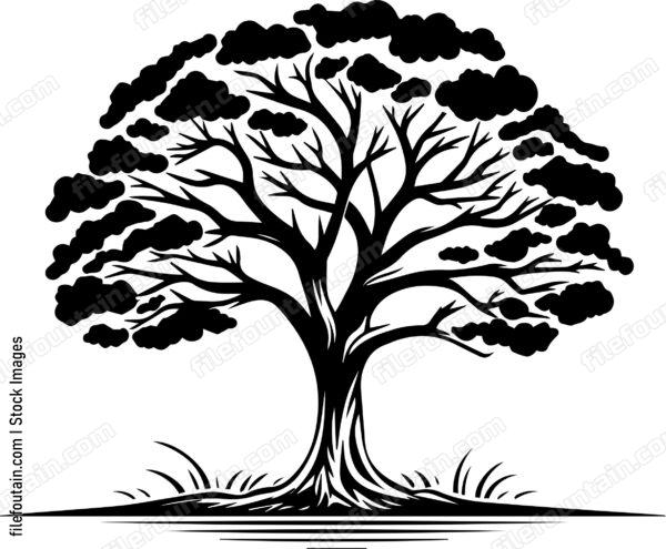Lone Tree In A Field