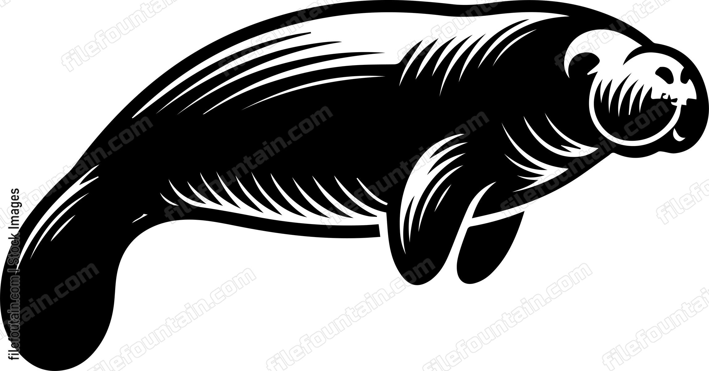 Manatee