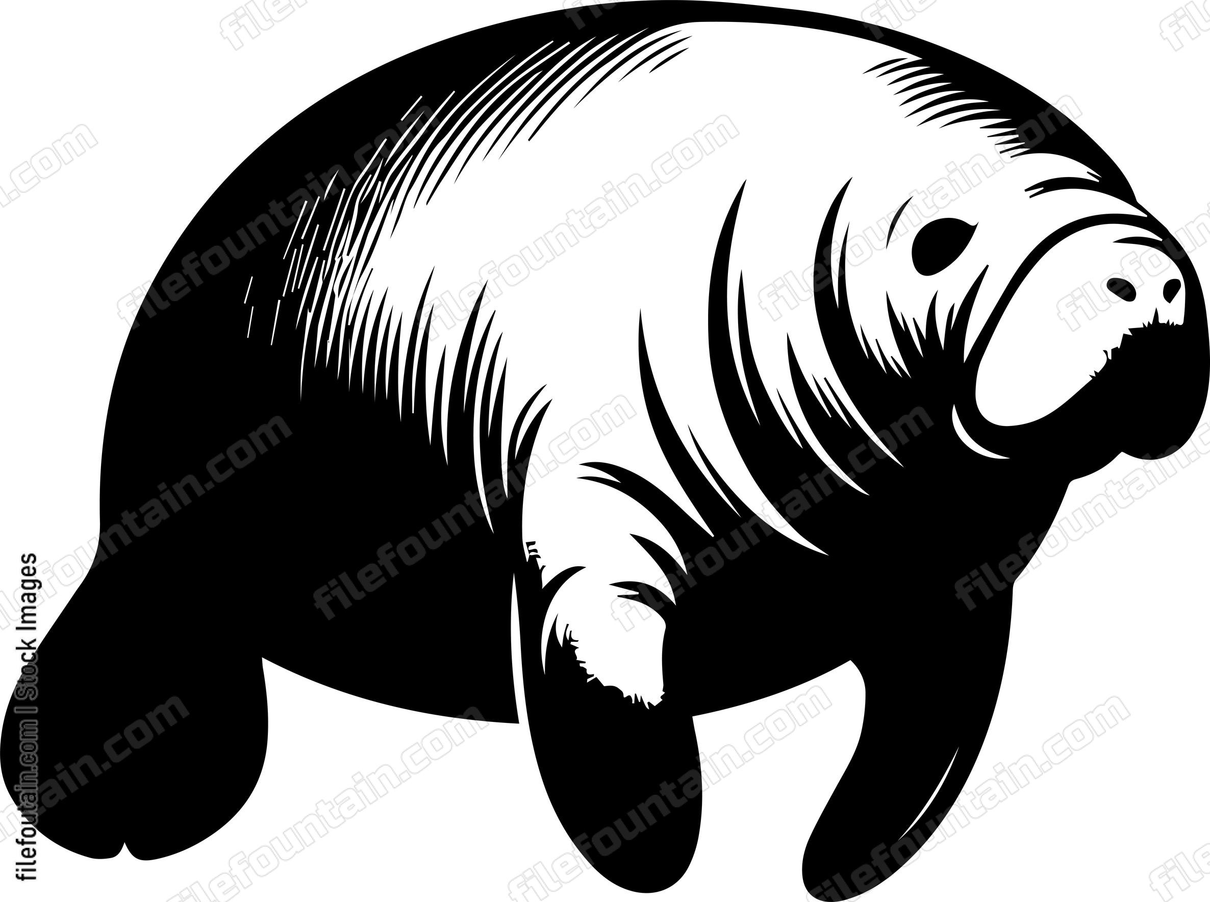 Manatee