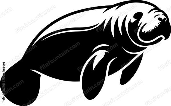 Manatee