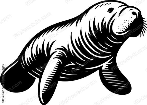 Manatee
