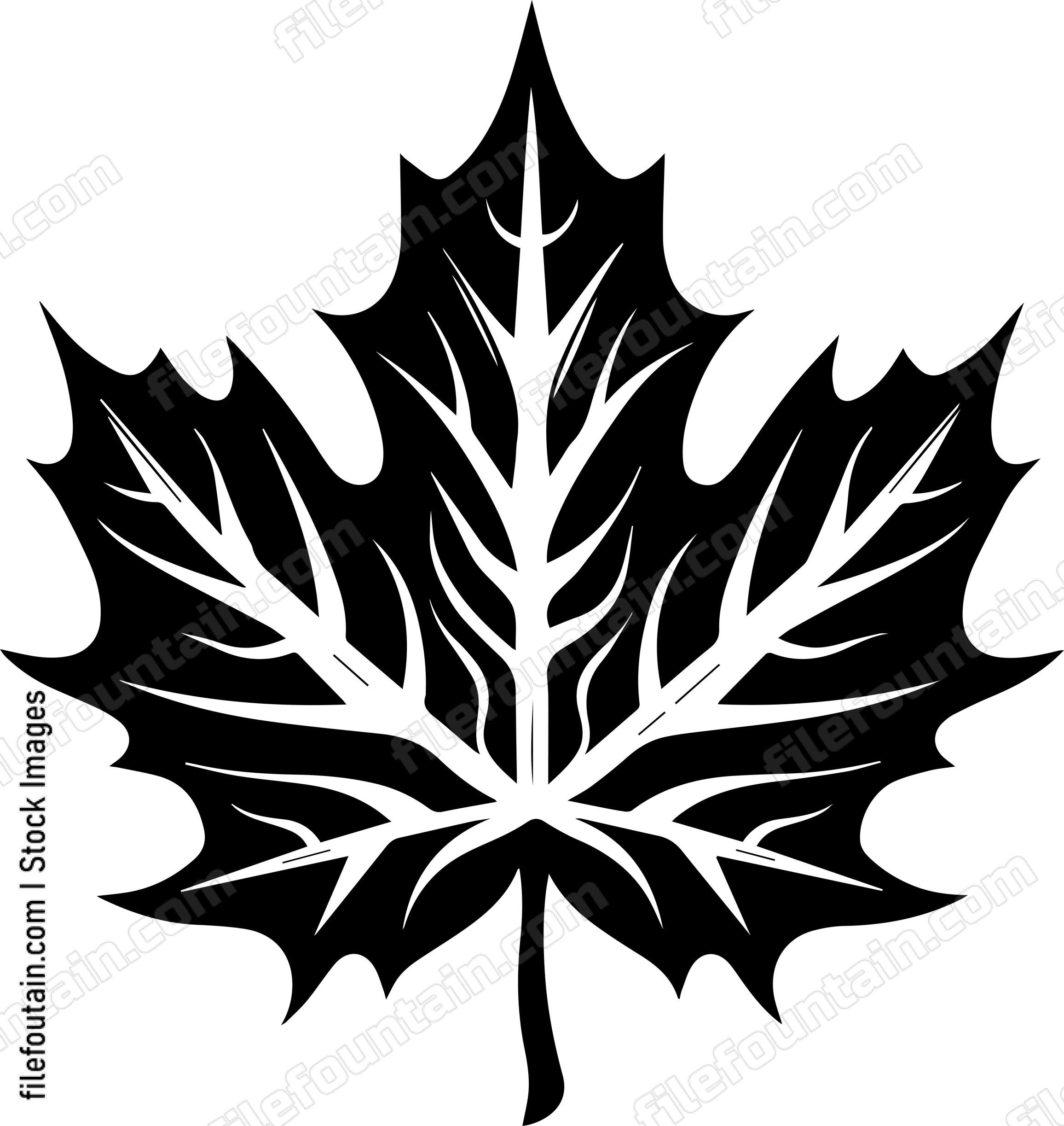Maple Leaf