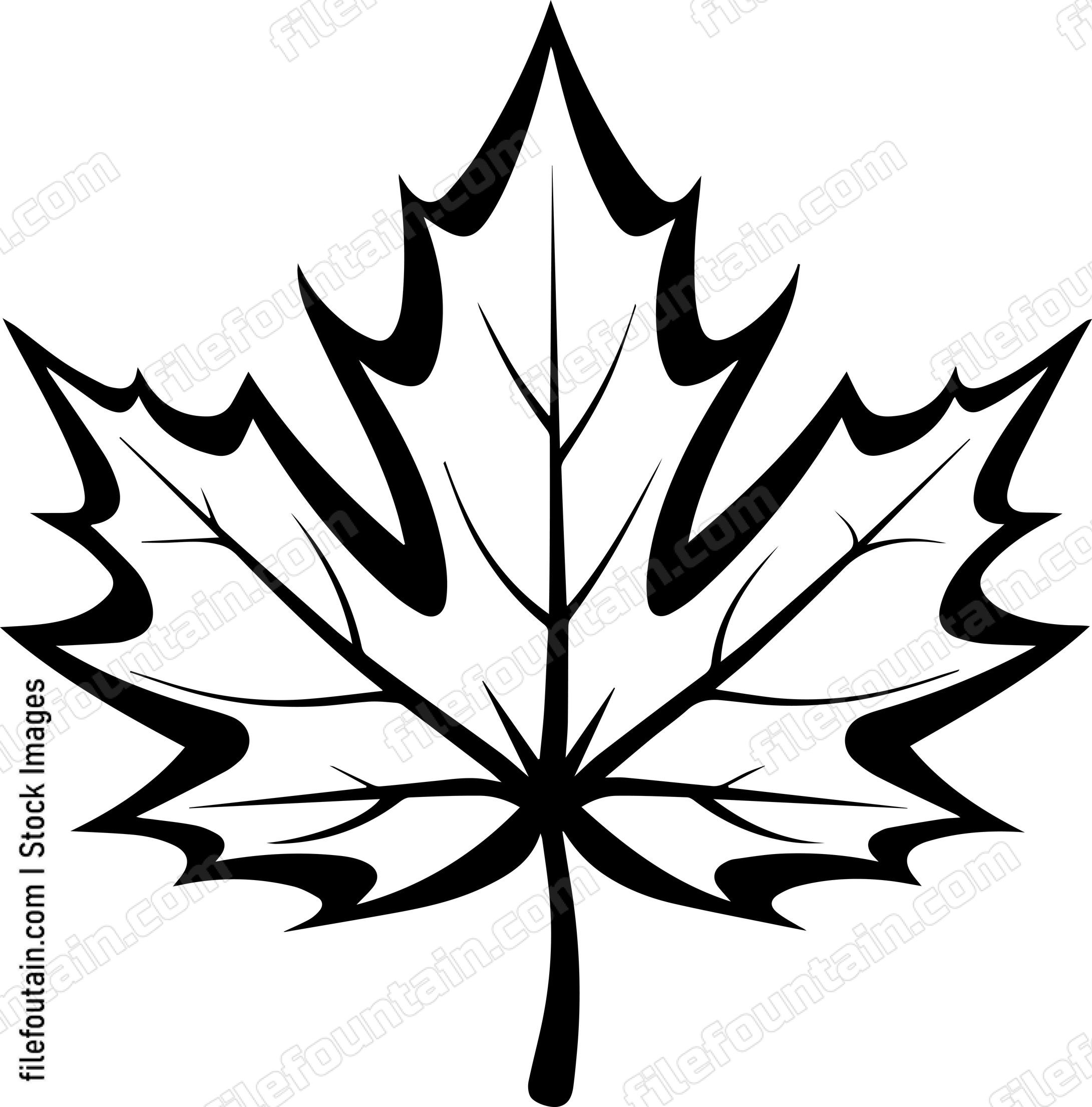 Maple Leaf