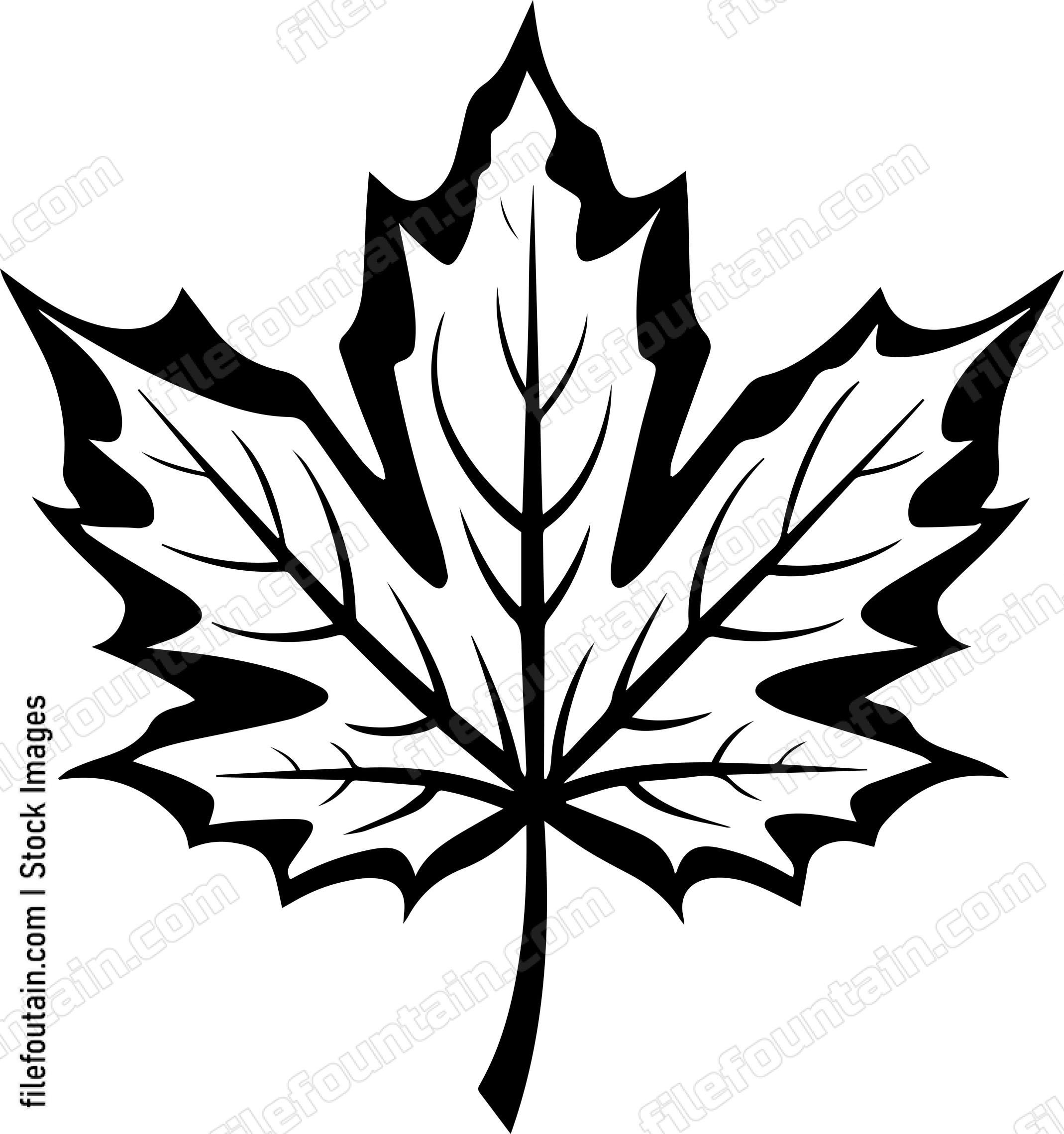 Maple Leaf