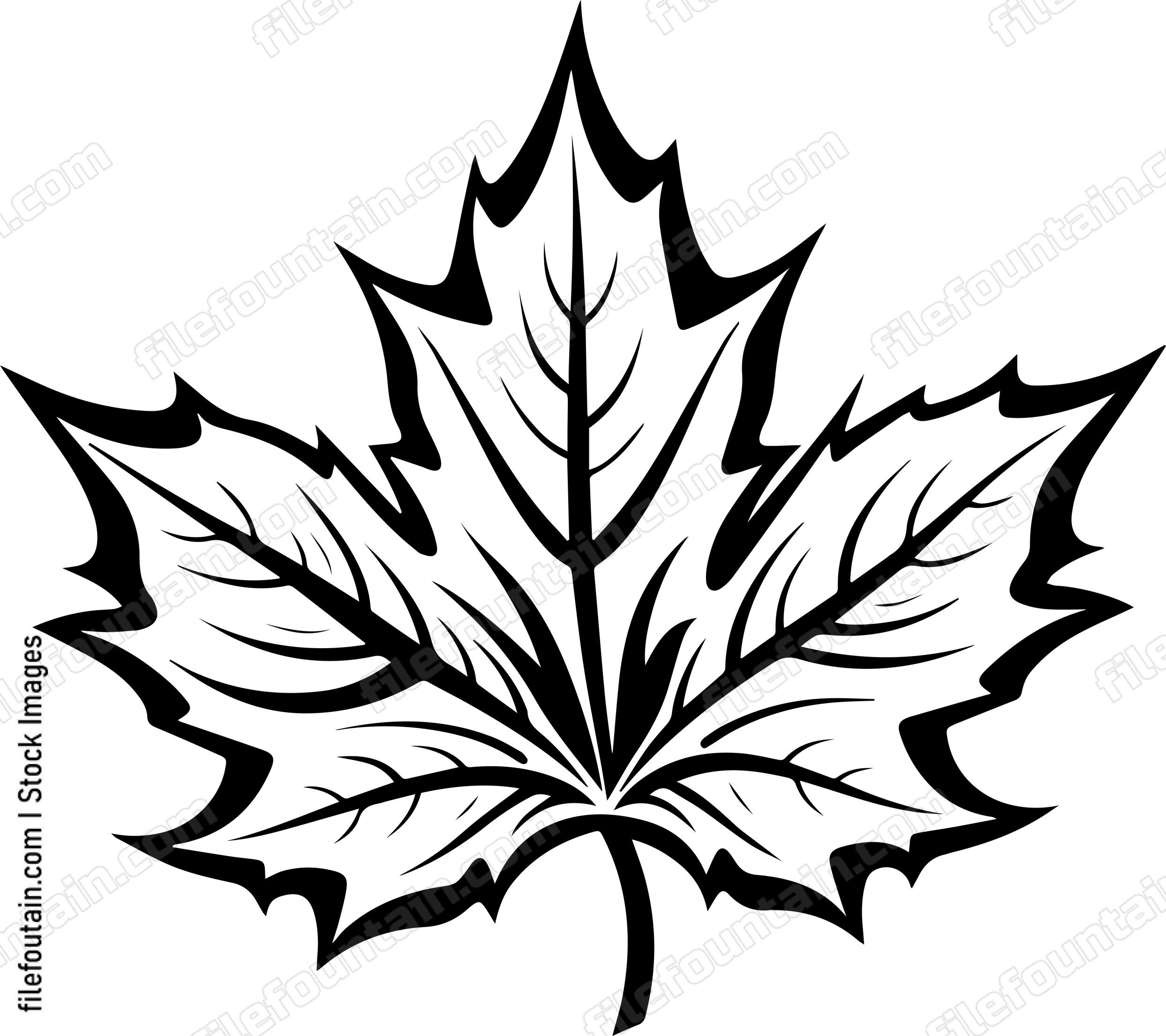 Maple Leaf