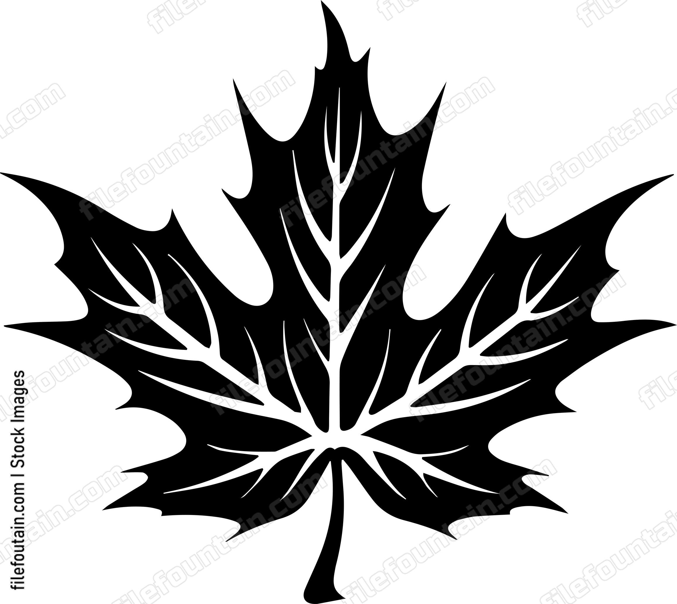 Maple Leaf