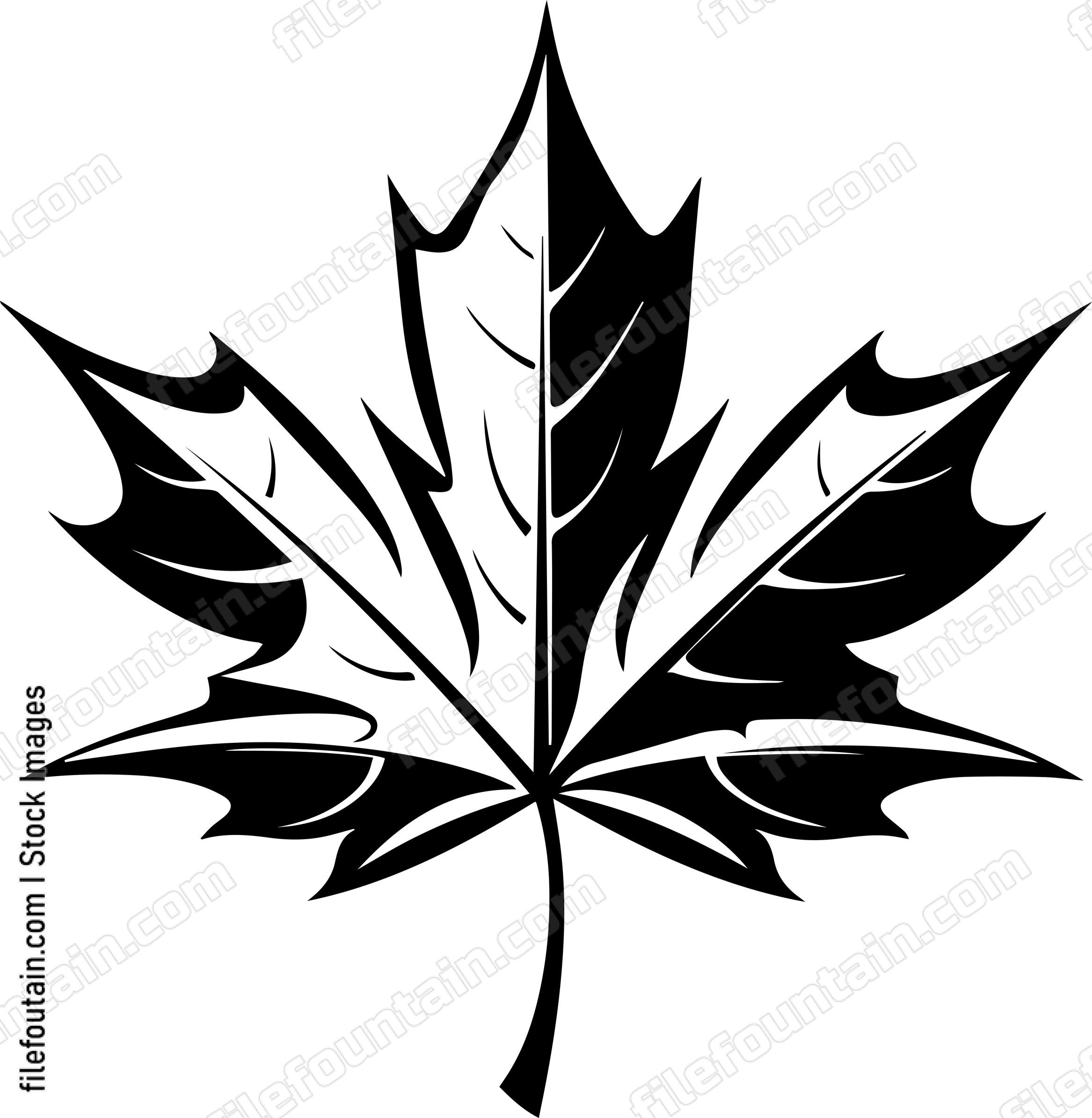 Maple Leaf
