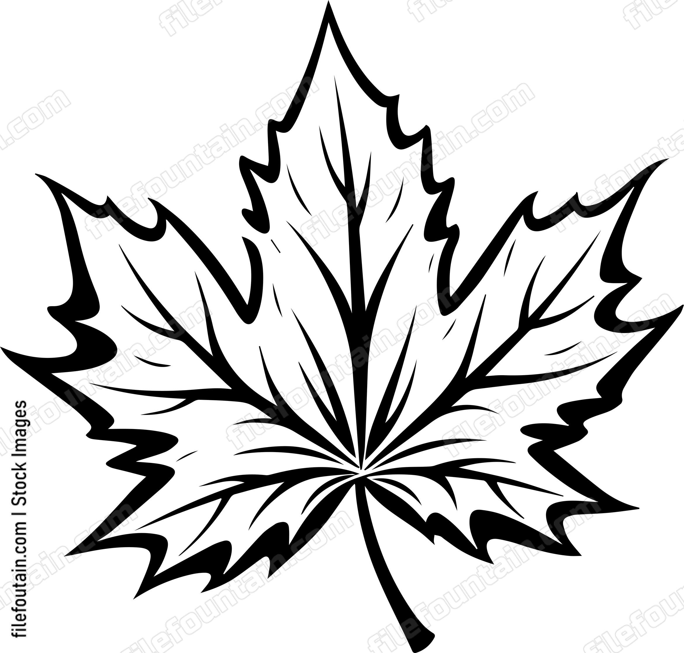 Maple Leaf