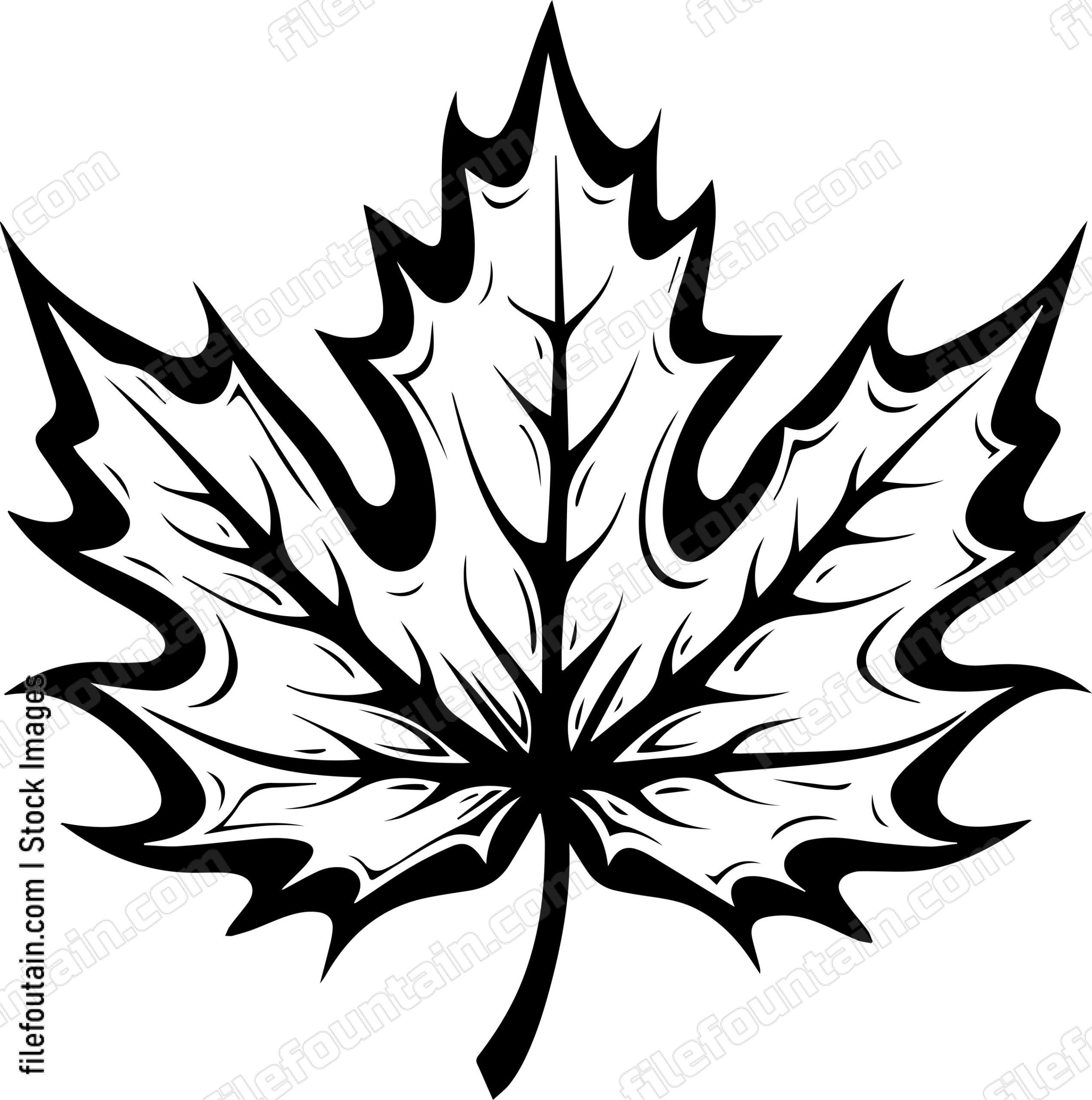 Maple Leaf