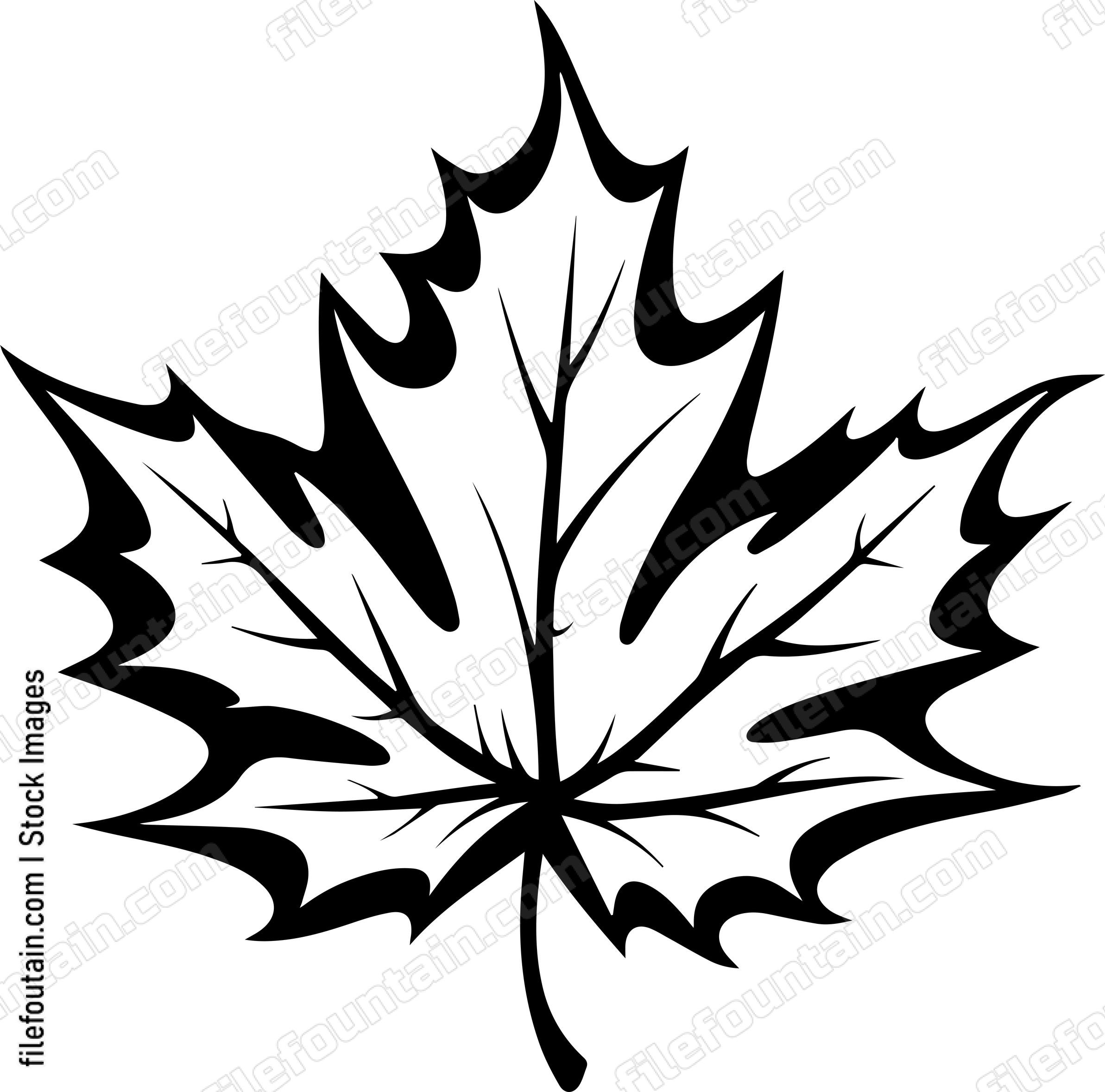 Maple Leaf