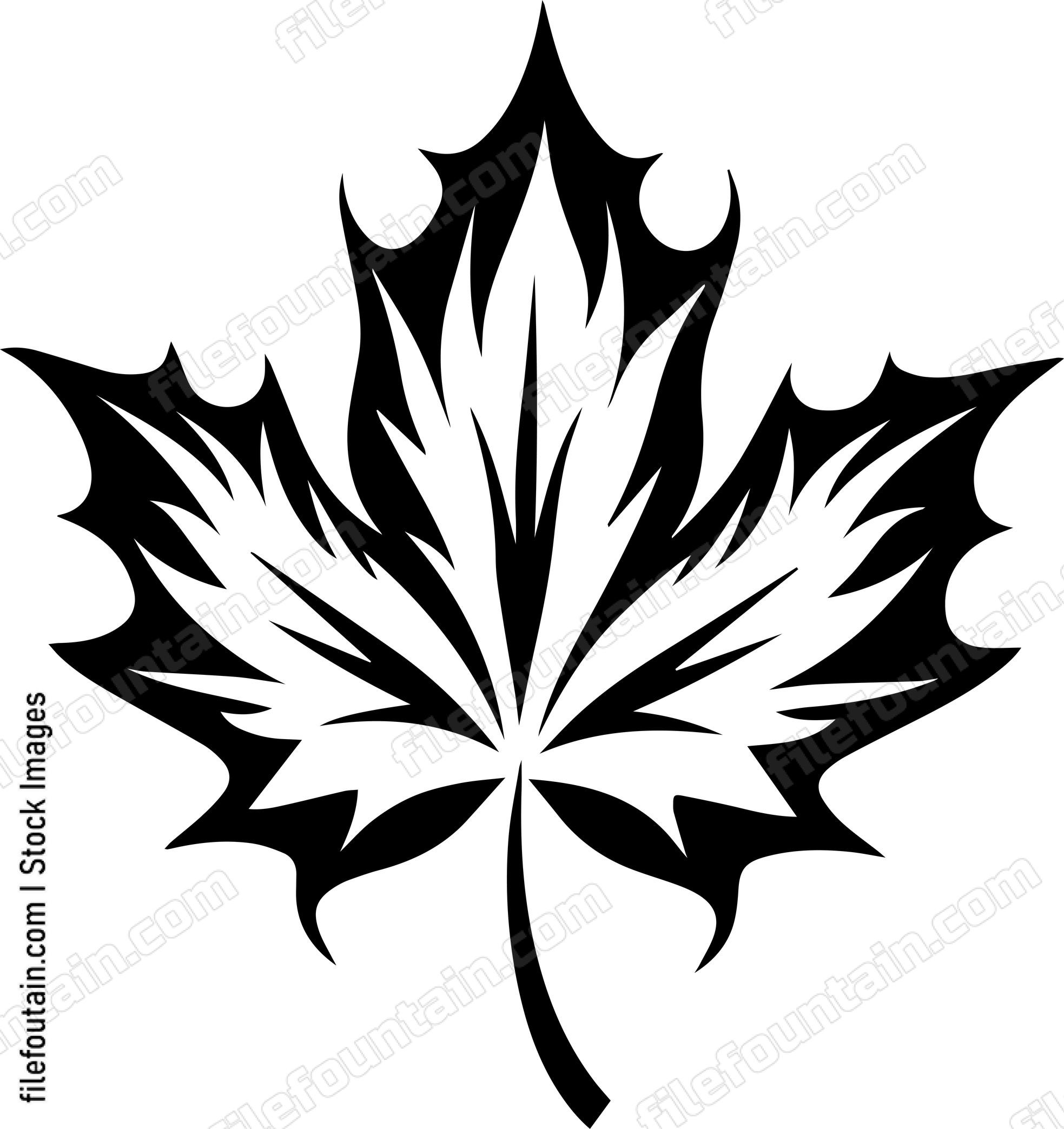 Maple Leaf