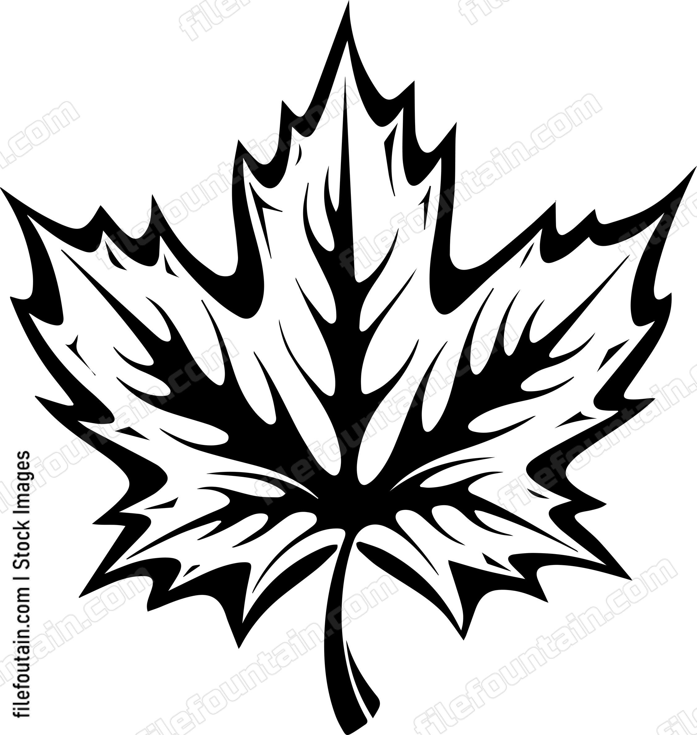 Maple Leaf