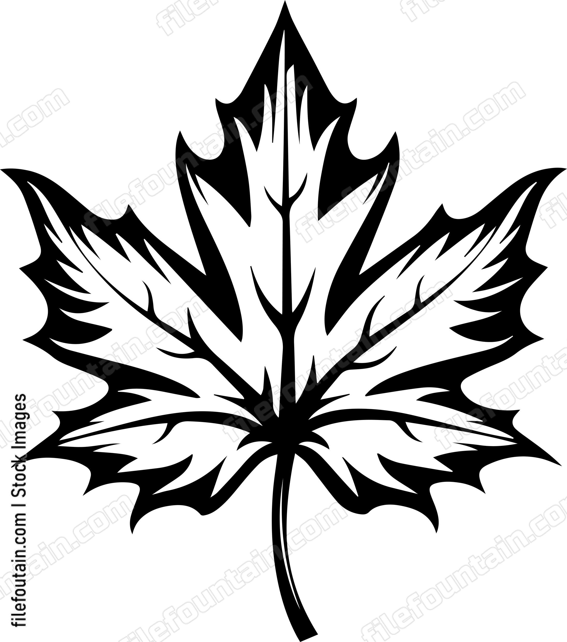 Maple Leaf