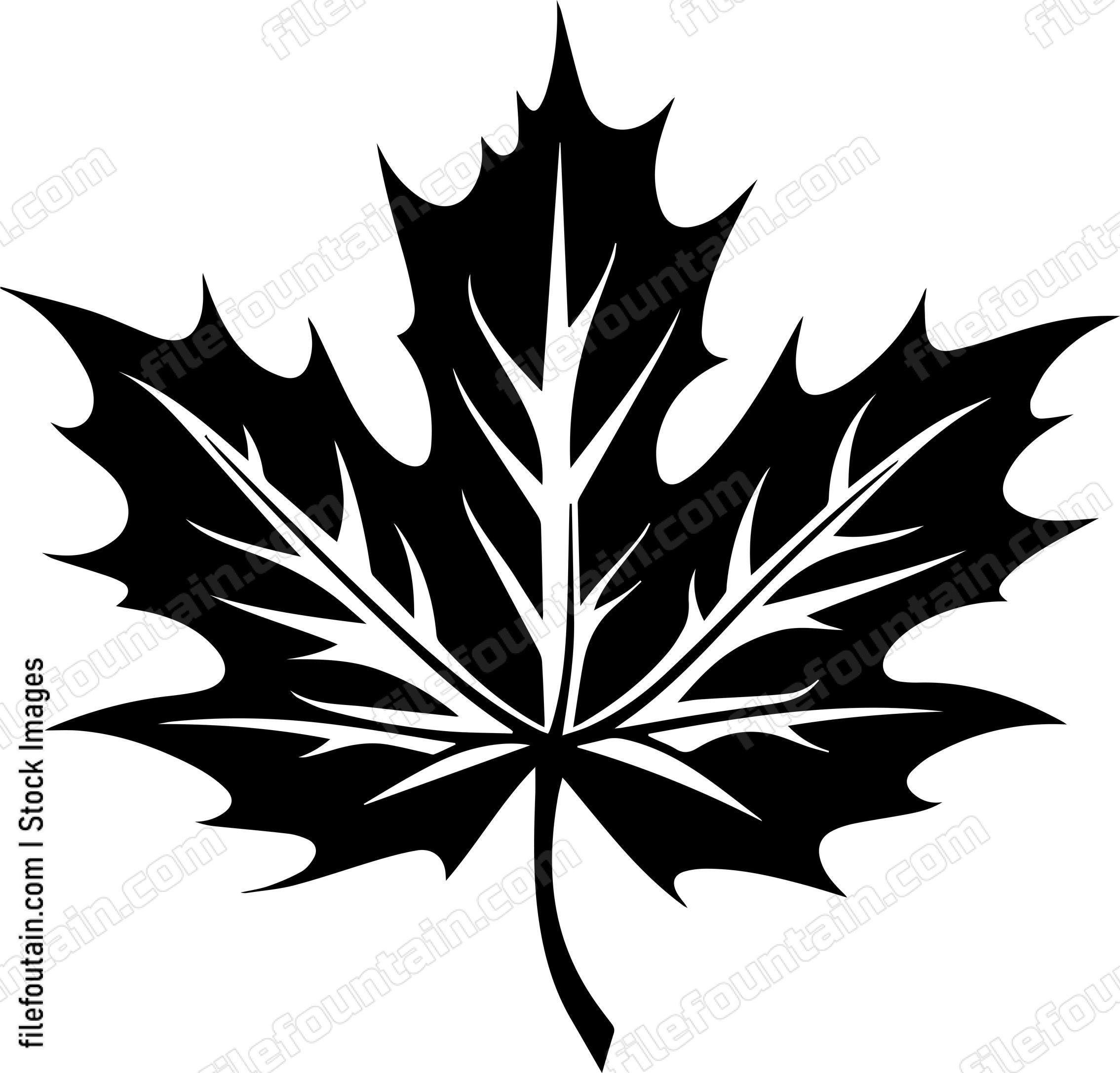Maple Leaf