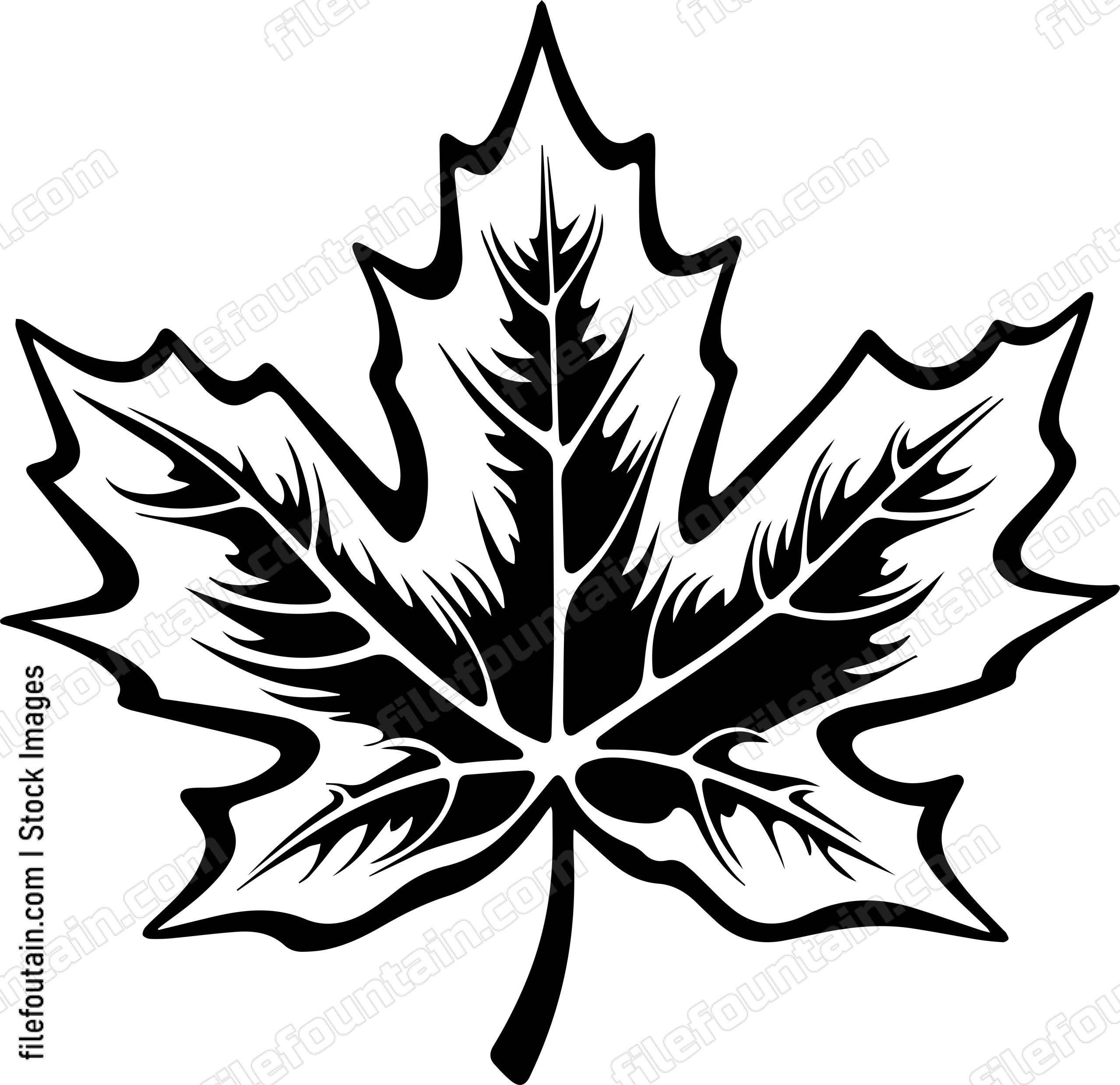 Maple Leaf